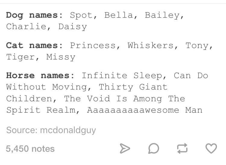 Pet Names r/tumblr