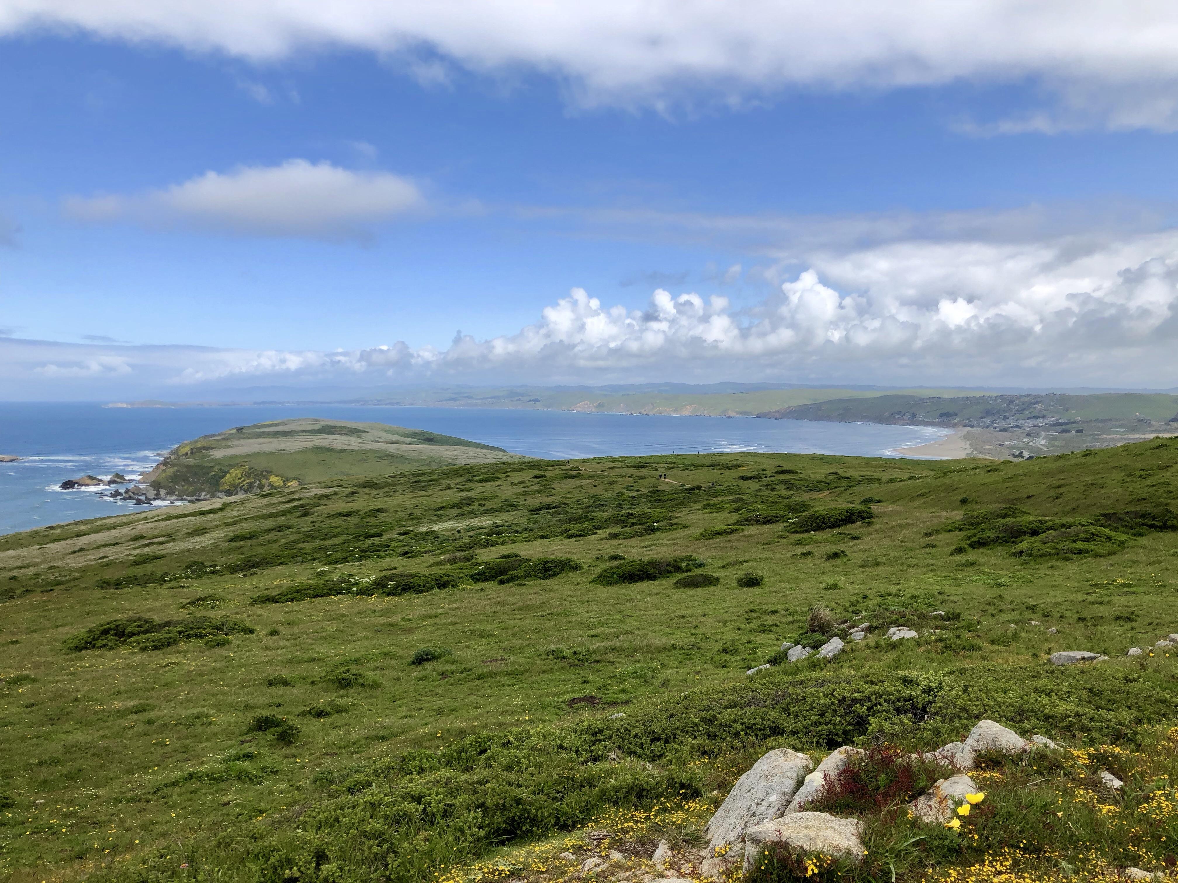 Tomales Point Trail, Point Reyes National Seashore, CA r/hiking
