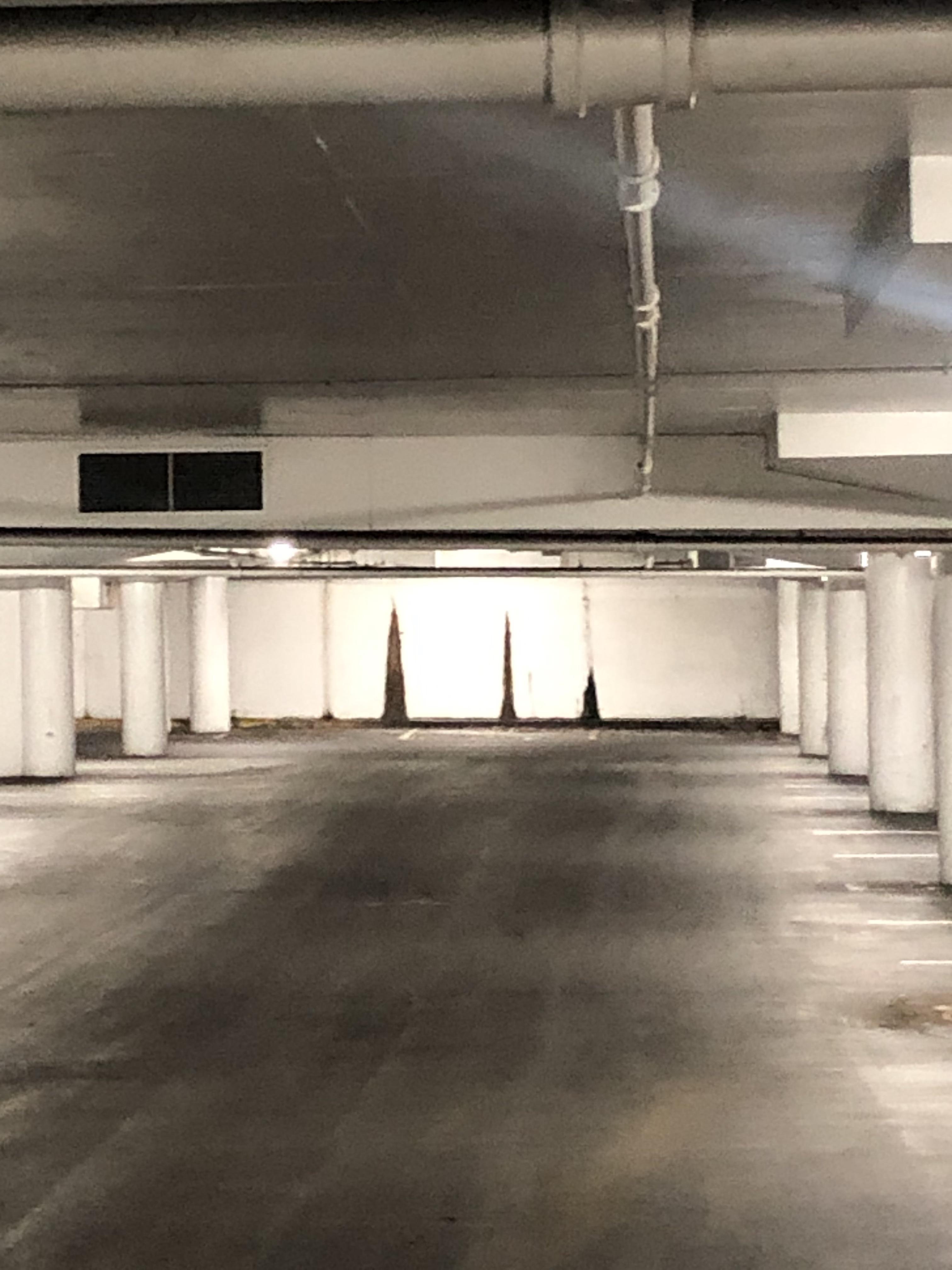 I’ve been in this parking garage for hours in total silence other than