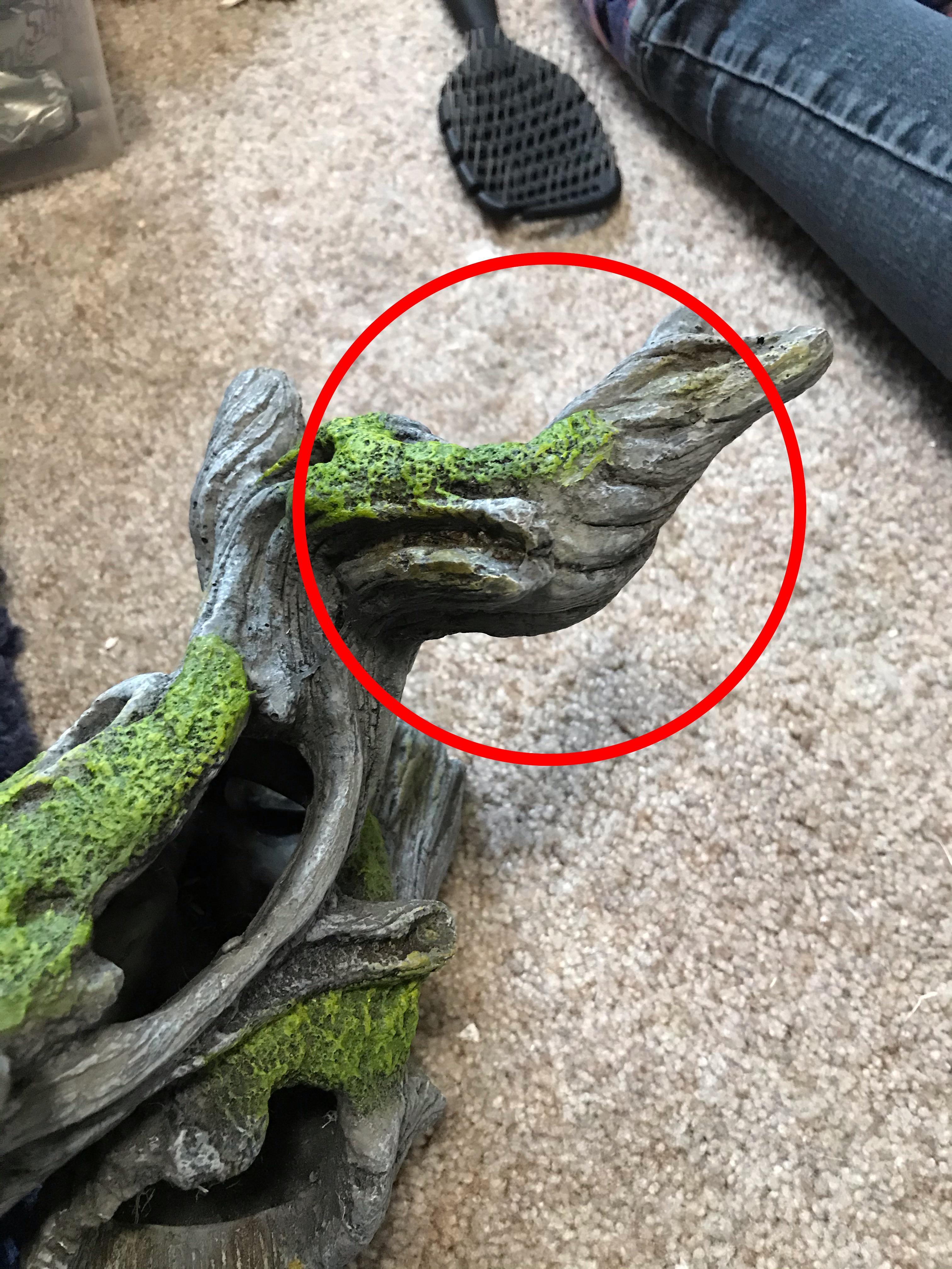 Snake stuck in hide , help! Hi so I’m a first time snake owner and I got this hide for my baby