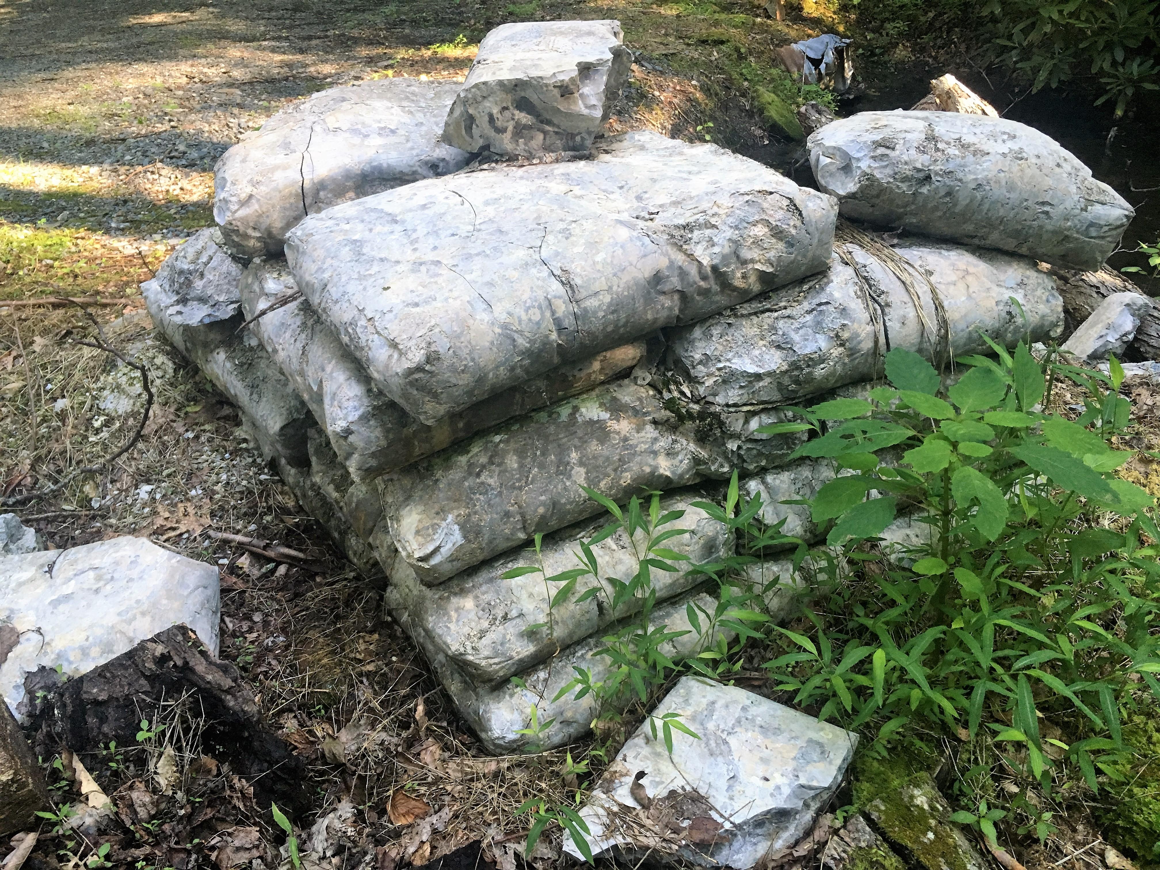 These bags of concrete on a pallet the concrete is there (hardened