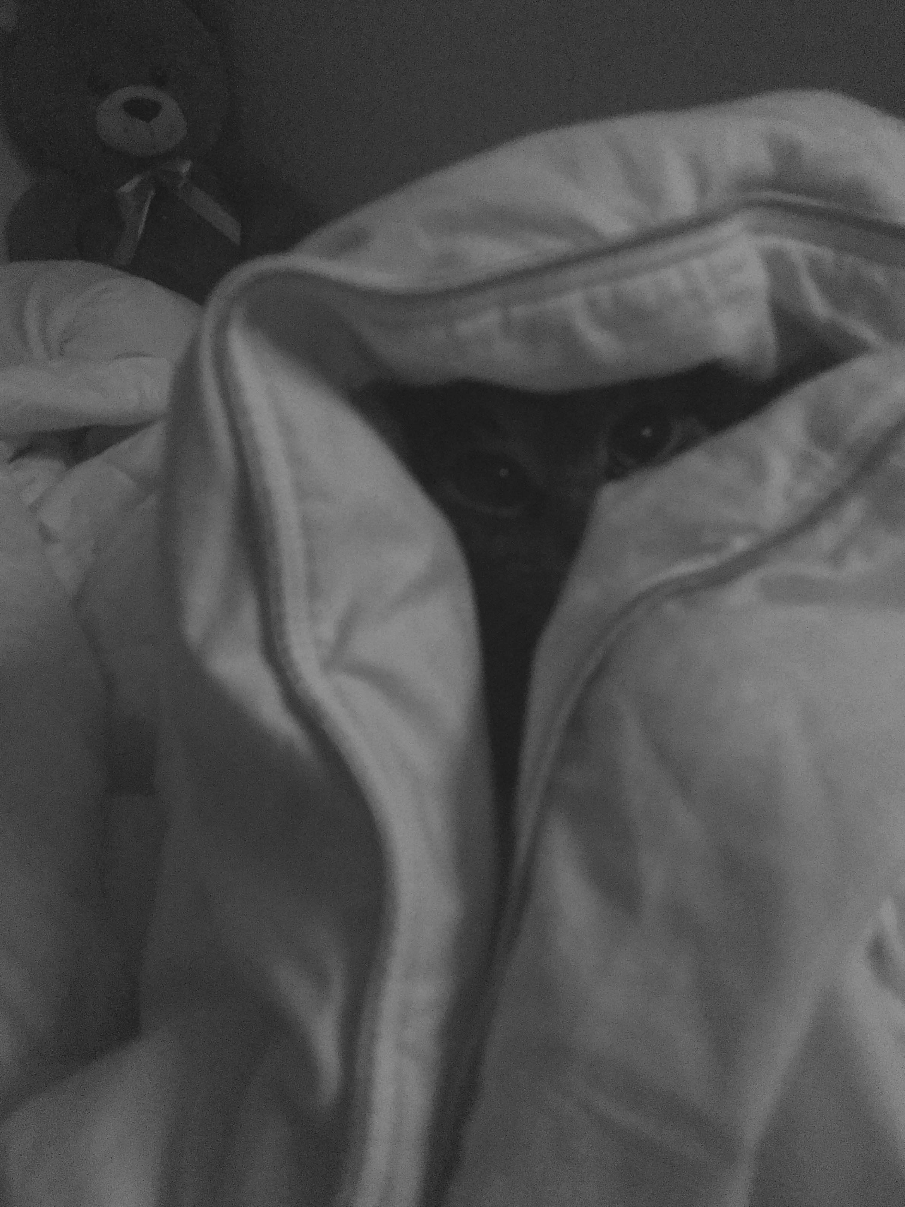 In her blanket fort. r/MadeMeSmile