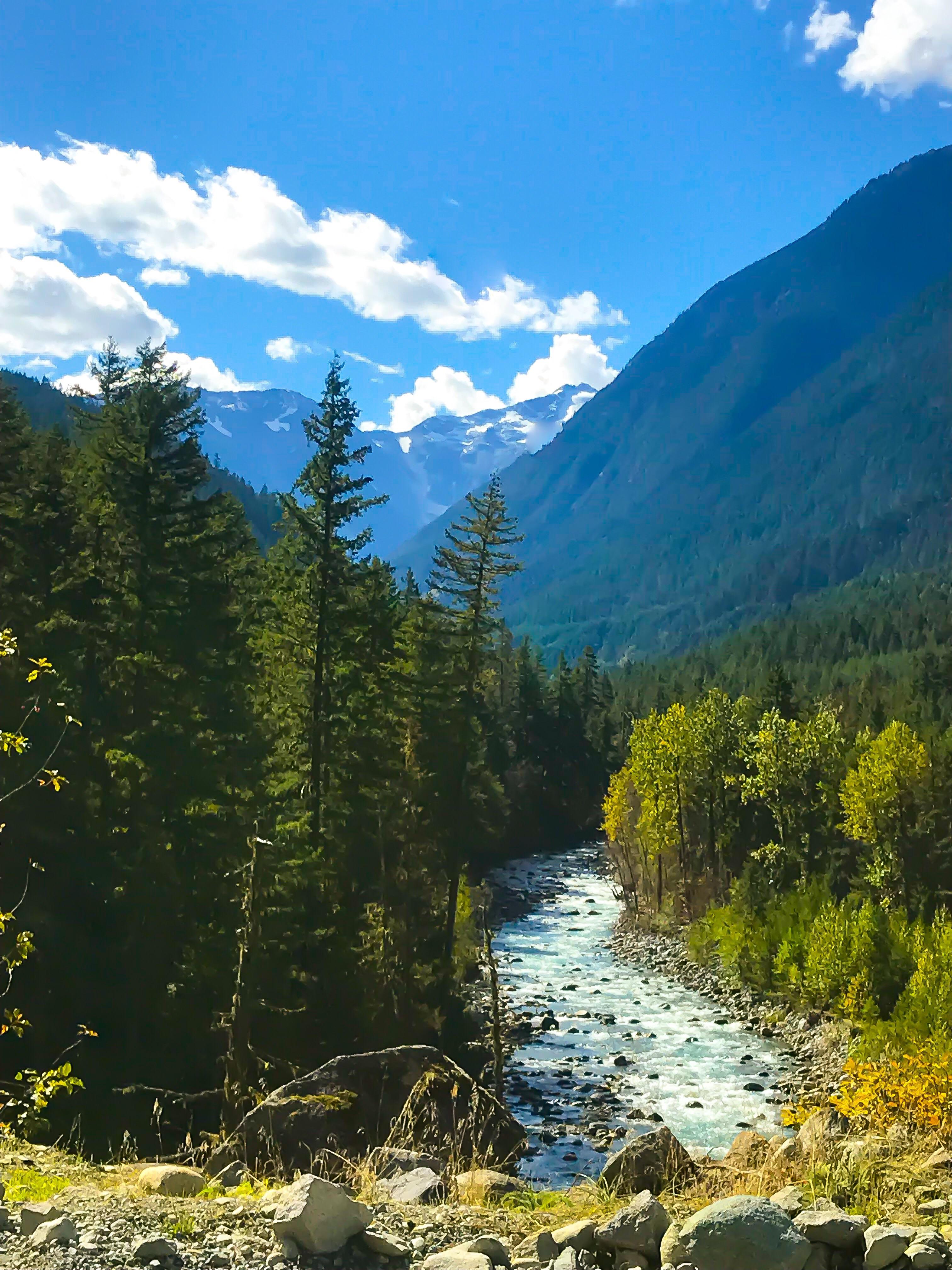 Lillooet river trails , BC ,Canada (1333*750) OC r/EarthPorn