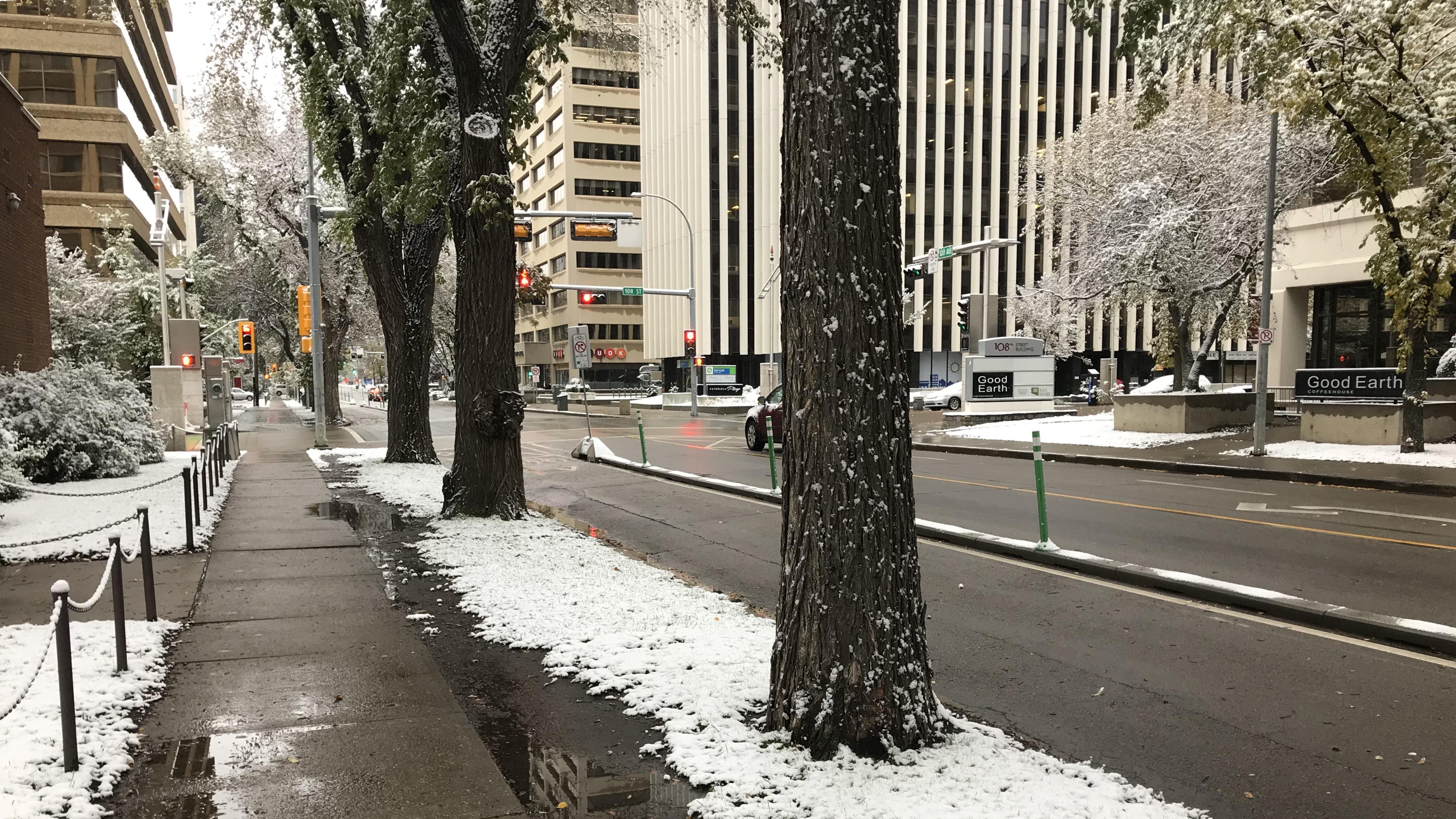 The weekend + snow brought a rarely quiet scene to 100ave his morning