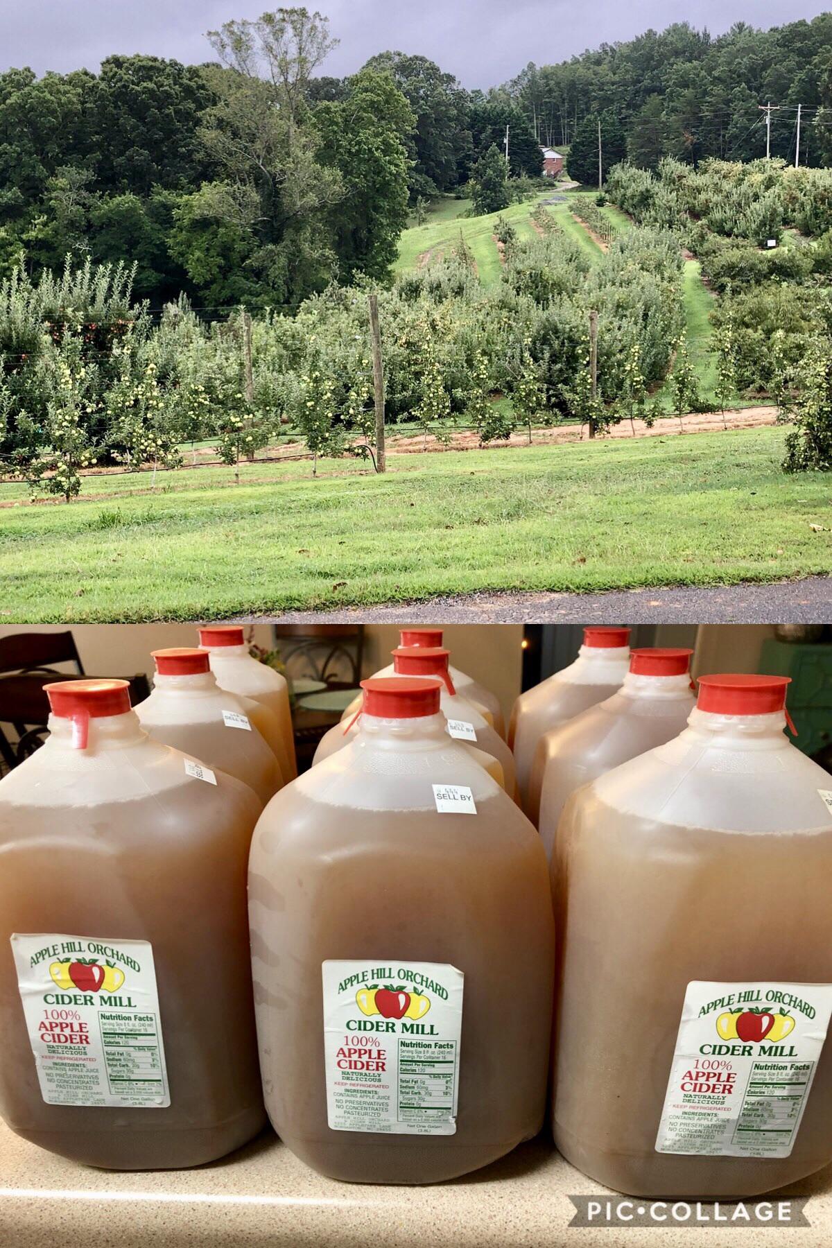 1st trip to a real apple orchard/cider mill! r/cider