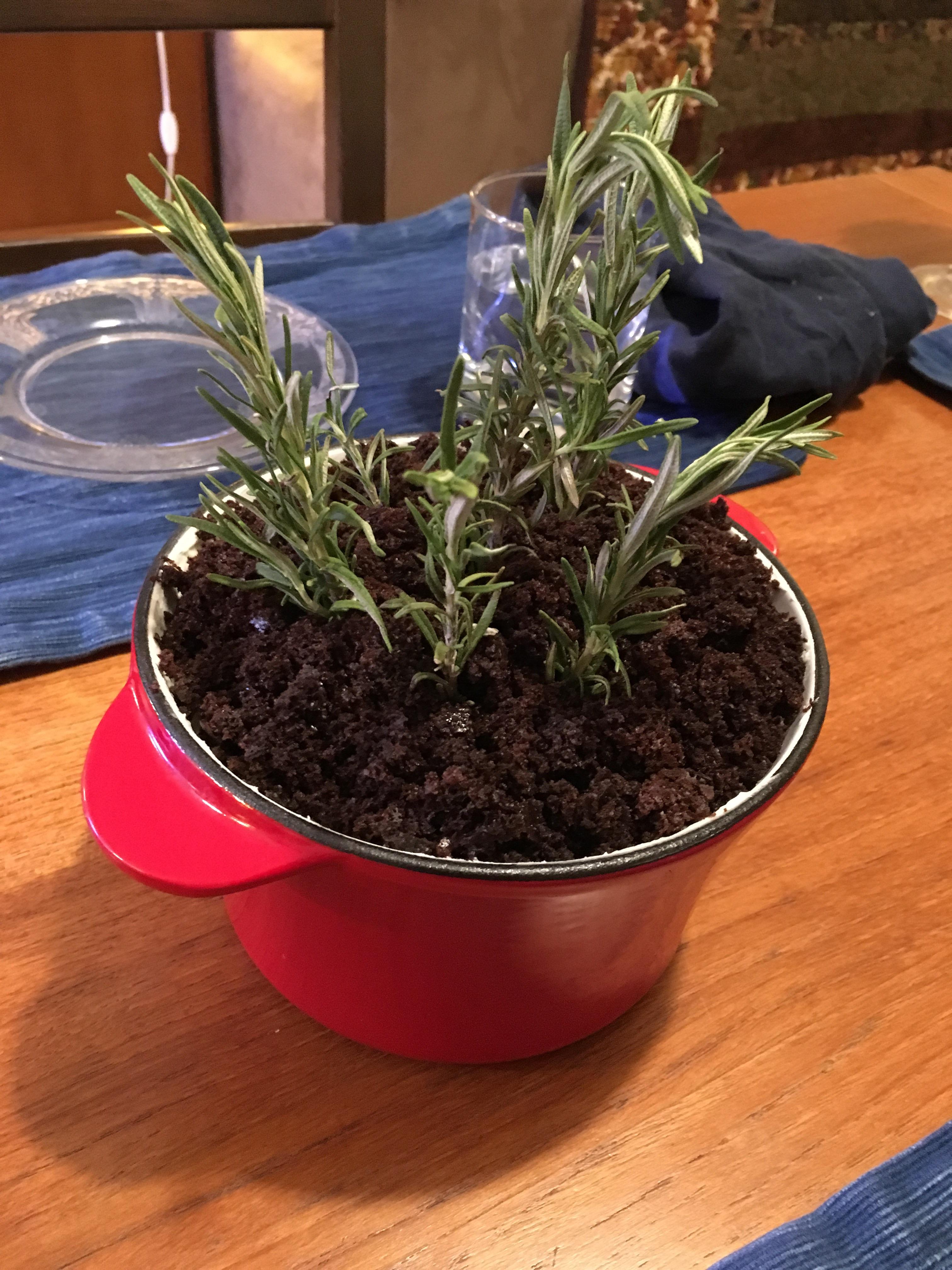 I made a chocolate cake with rosemary infused buttercream icing and