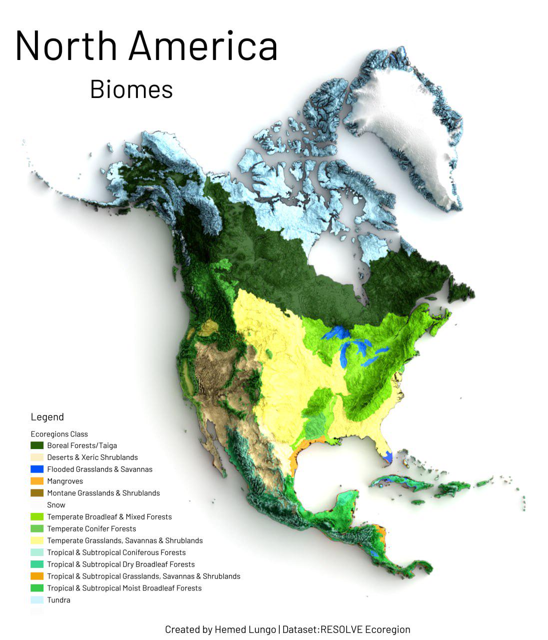 Wetlands Biome Map