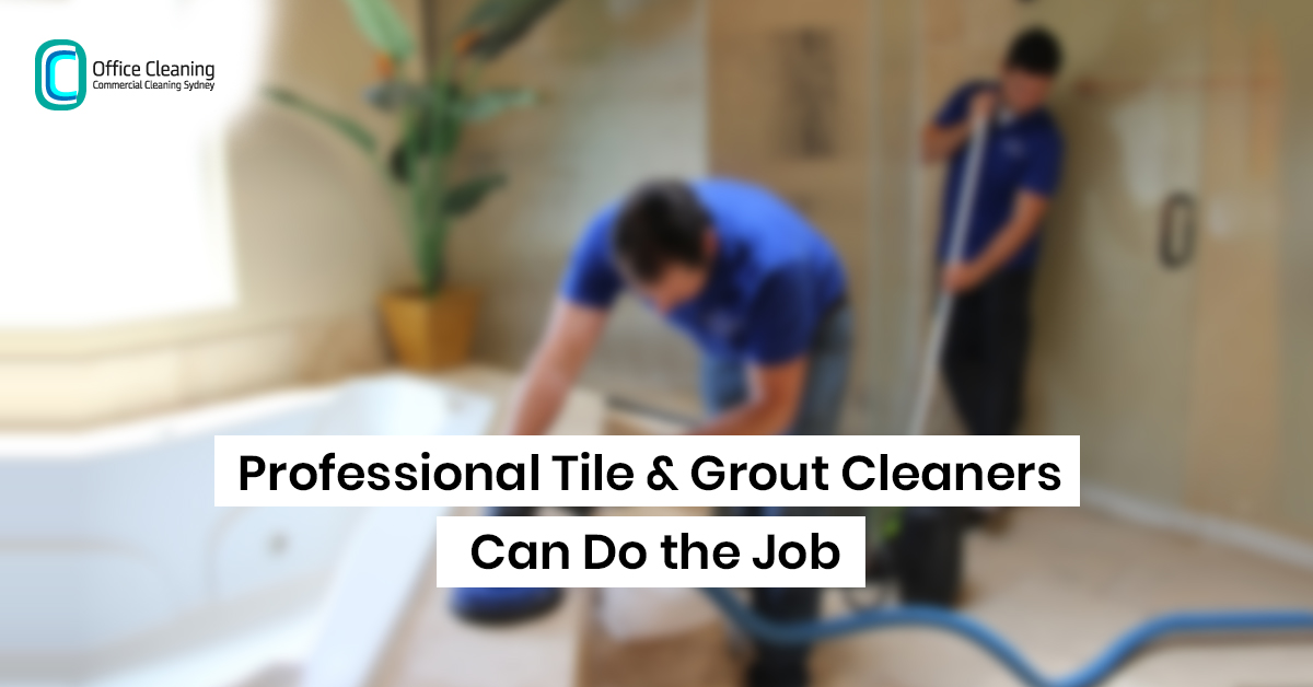 Cleaner/interior designer in Gainesville Florida