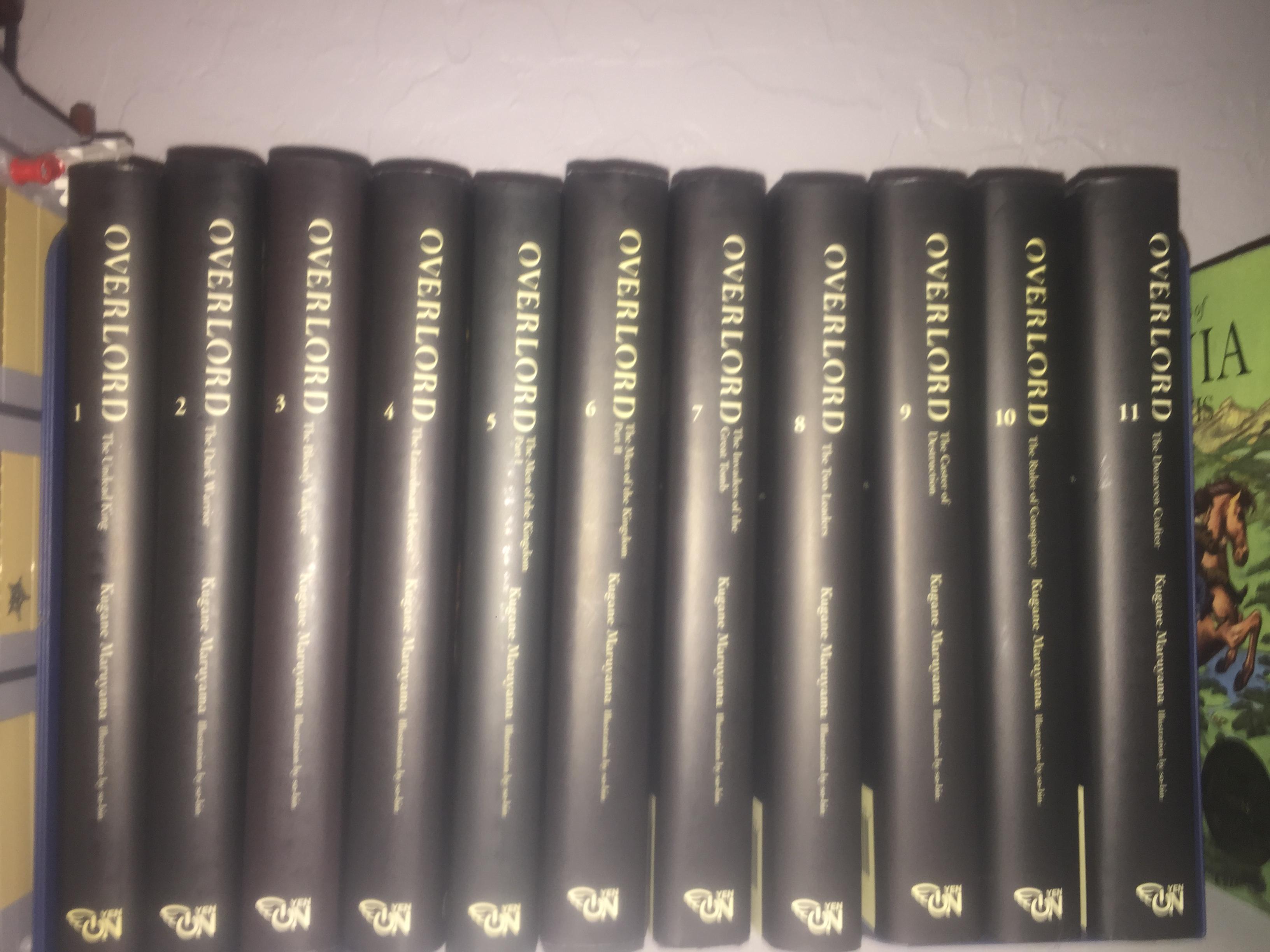 Waiting for volumes 12 and 13 on Amazon and then vol 14 English version overlord