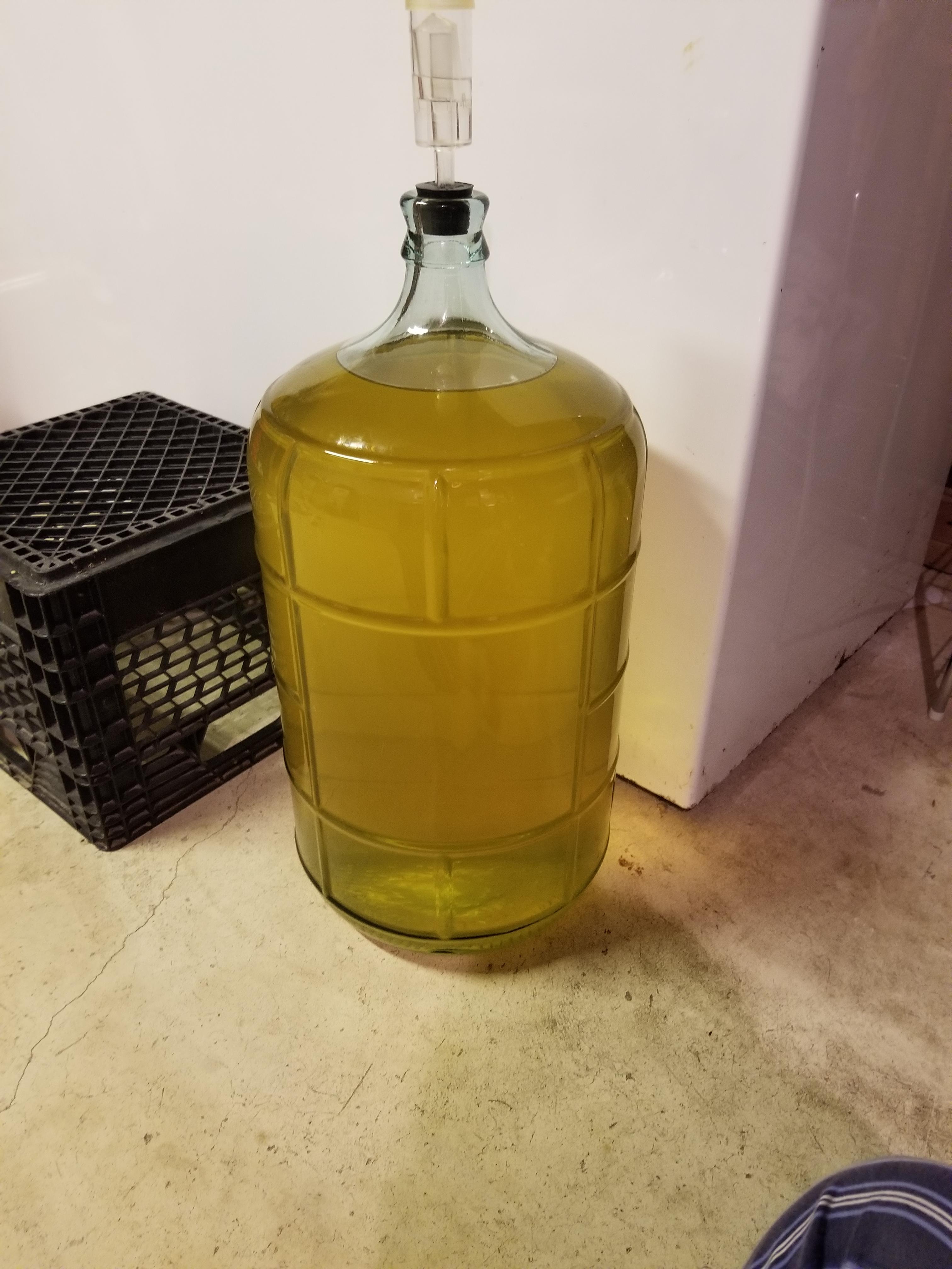 Peach mead ready to bottle r/mead