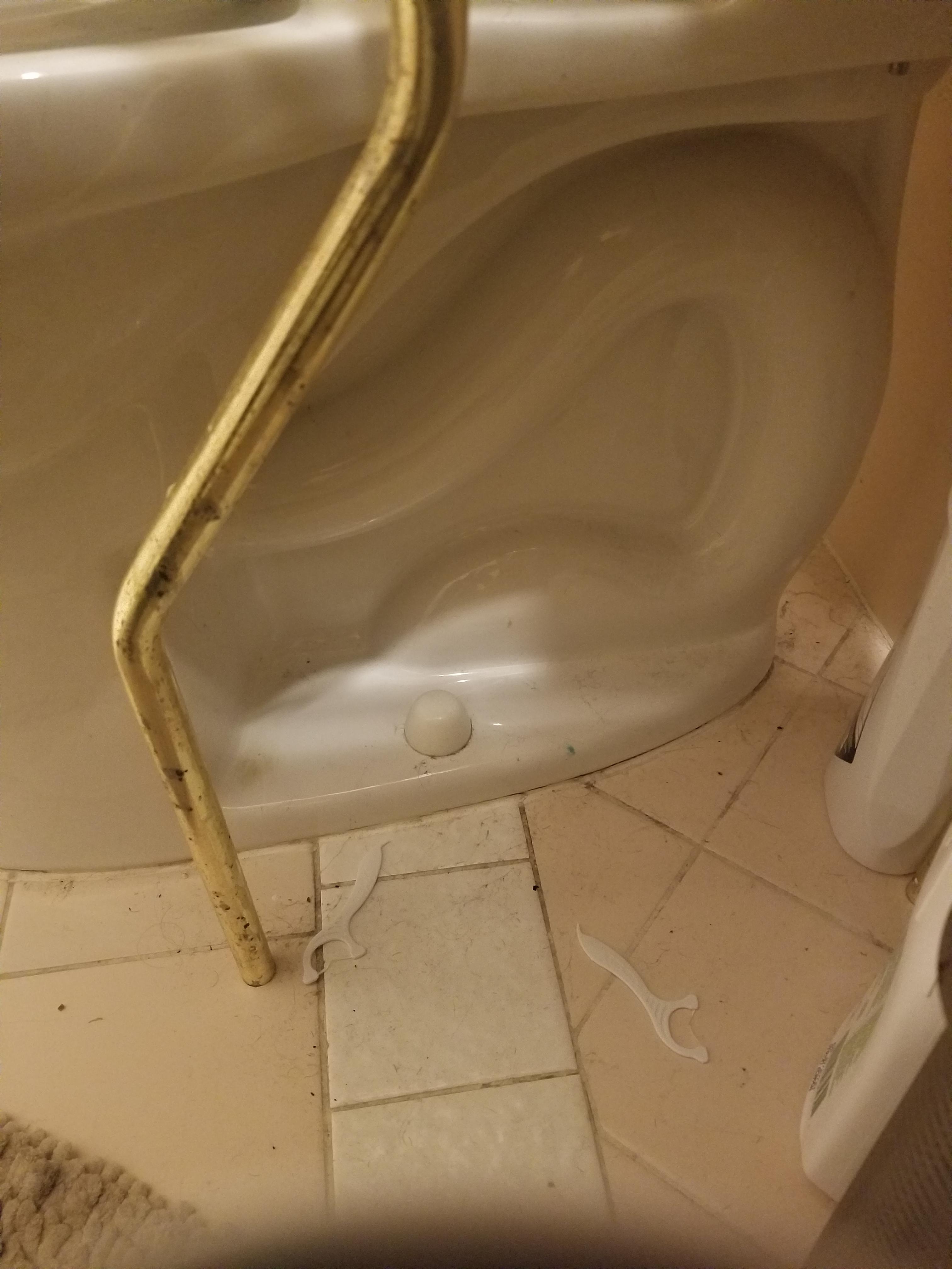 Toothbrush was flushed down the toilet. What's next? r/Plumbing