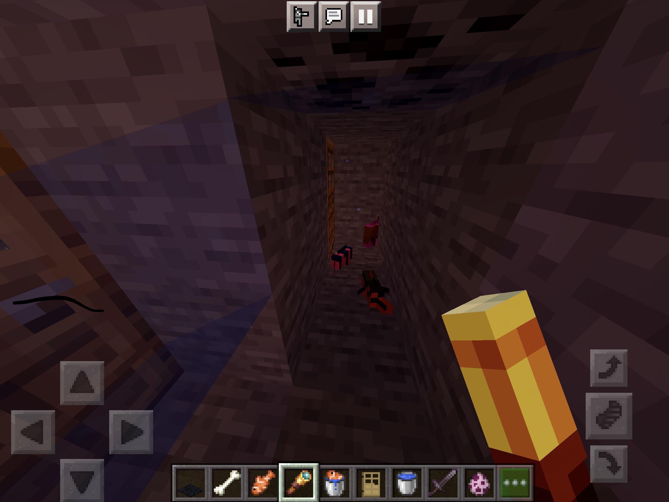 I was playing Minecraft and water start singing through the door