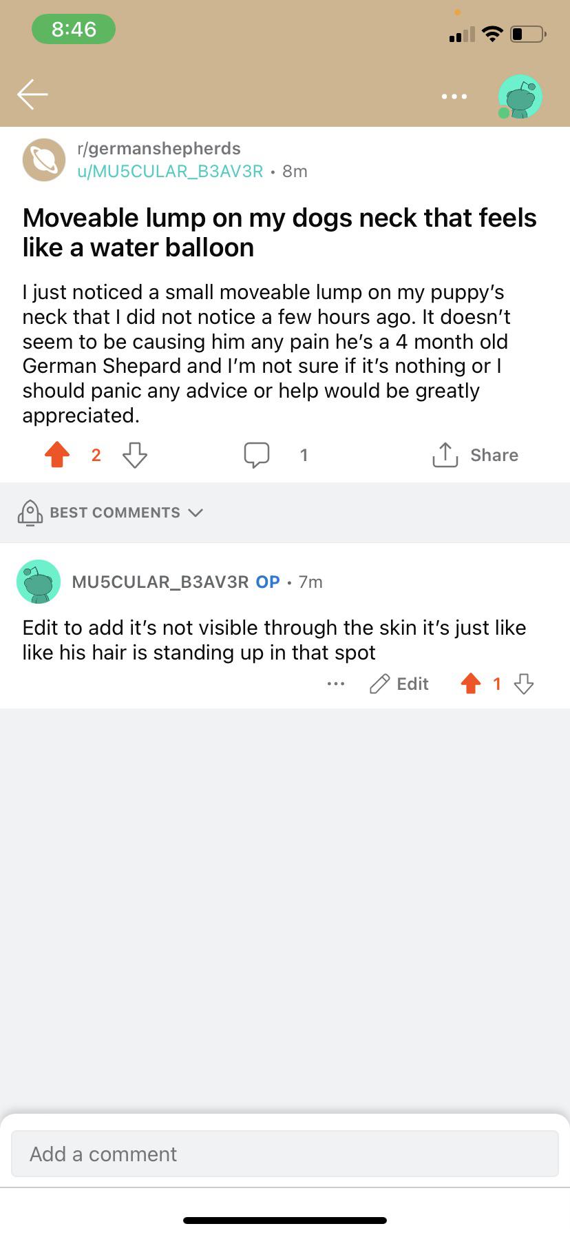 Cat laying in litter box, is this normal? She’s fixed, this is fresh