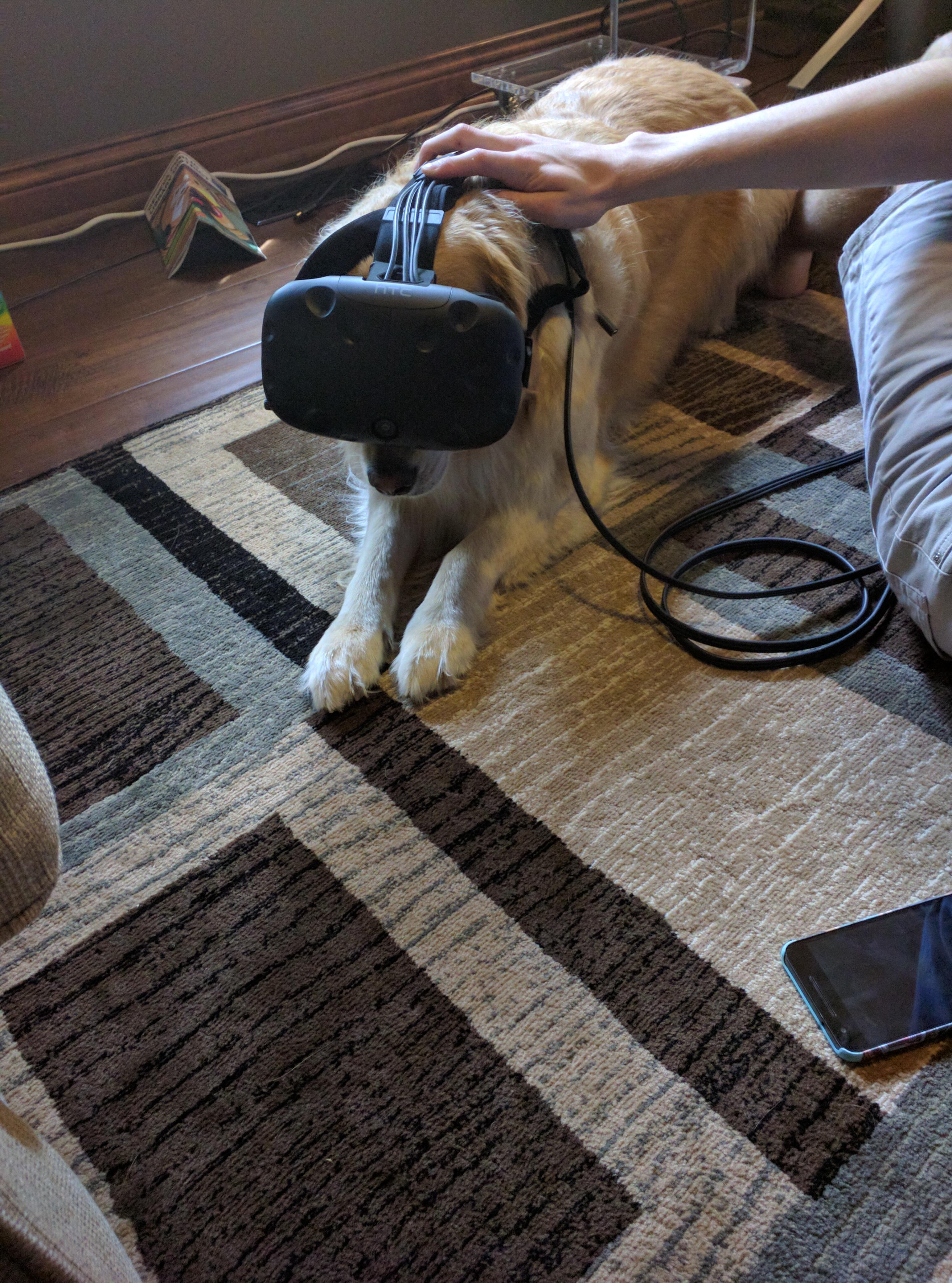 Even dogs can enjoy the beauty of Virtual Reality r/pcmasterrace