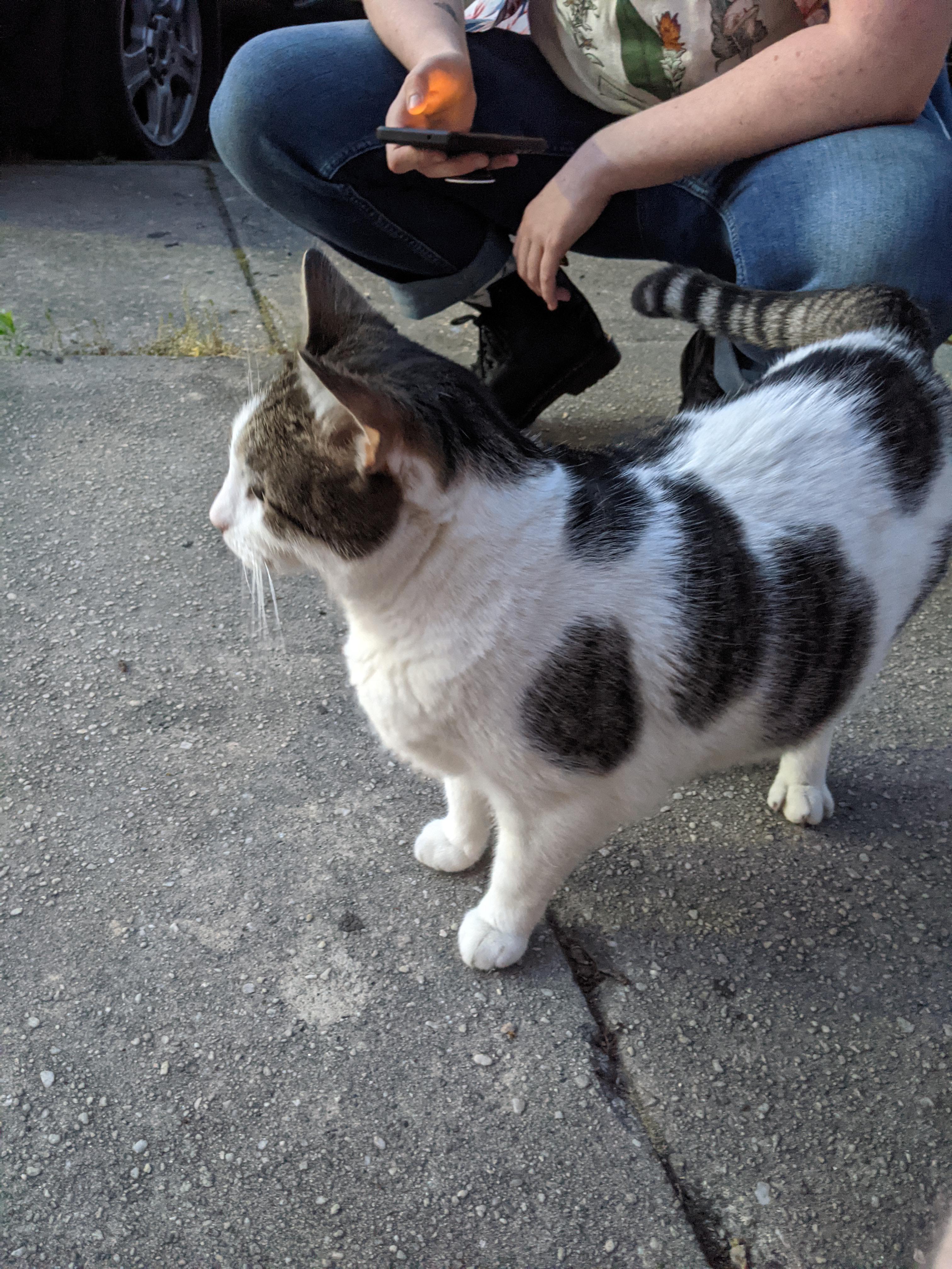 66 best Harbor Springs images on Pholder Michigan, Harborfreight and Golf