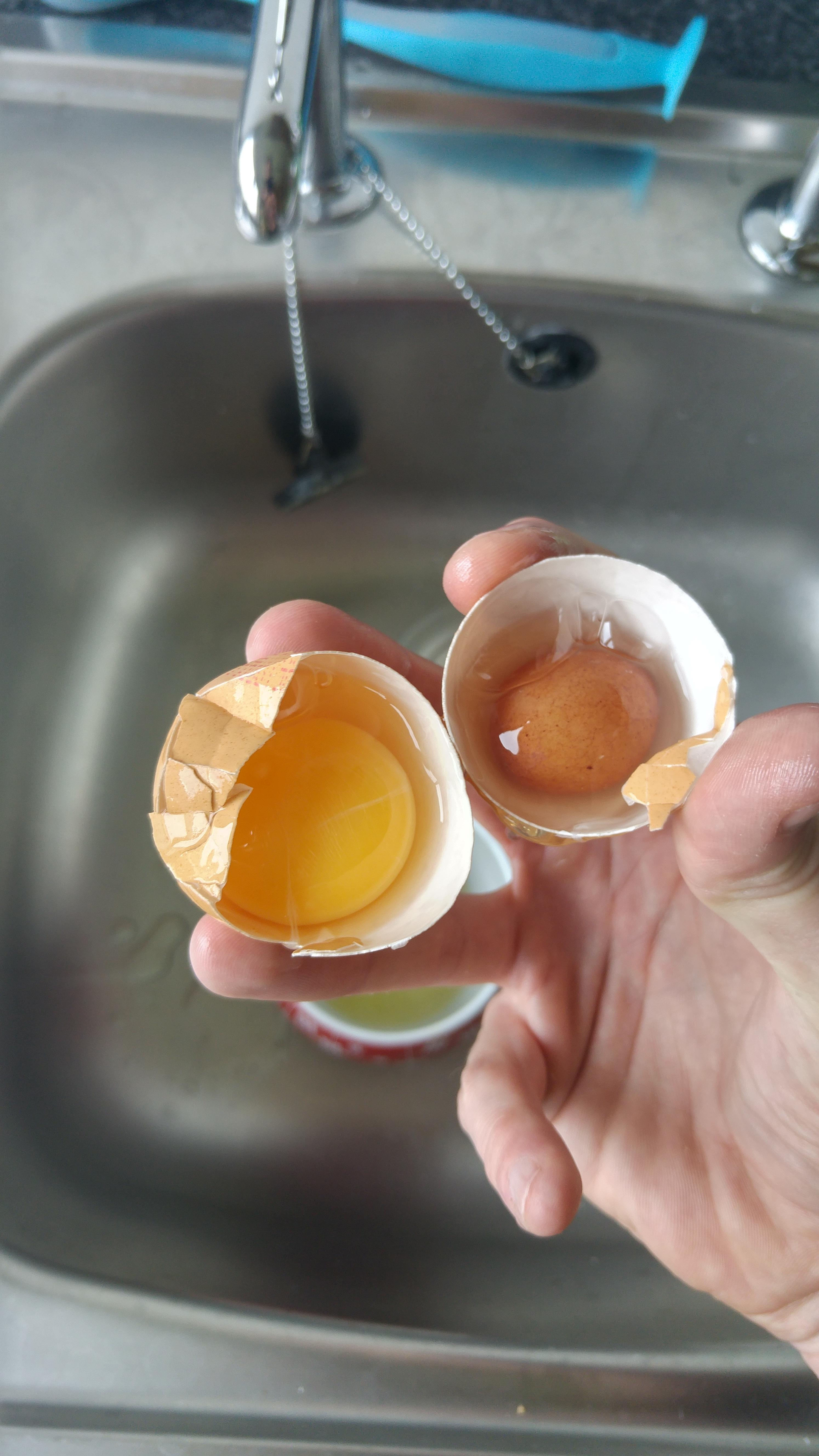 There was an egg inside my egg mildlyinteresting