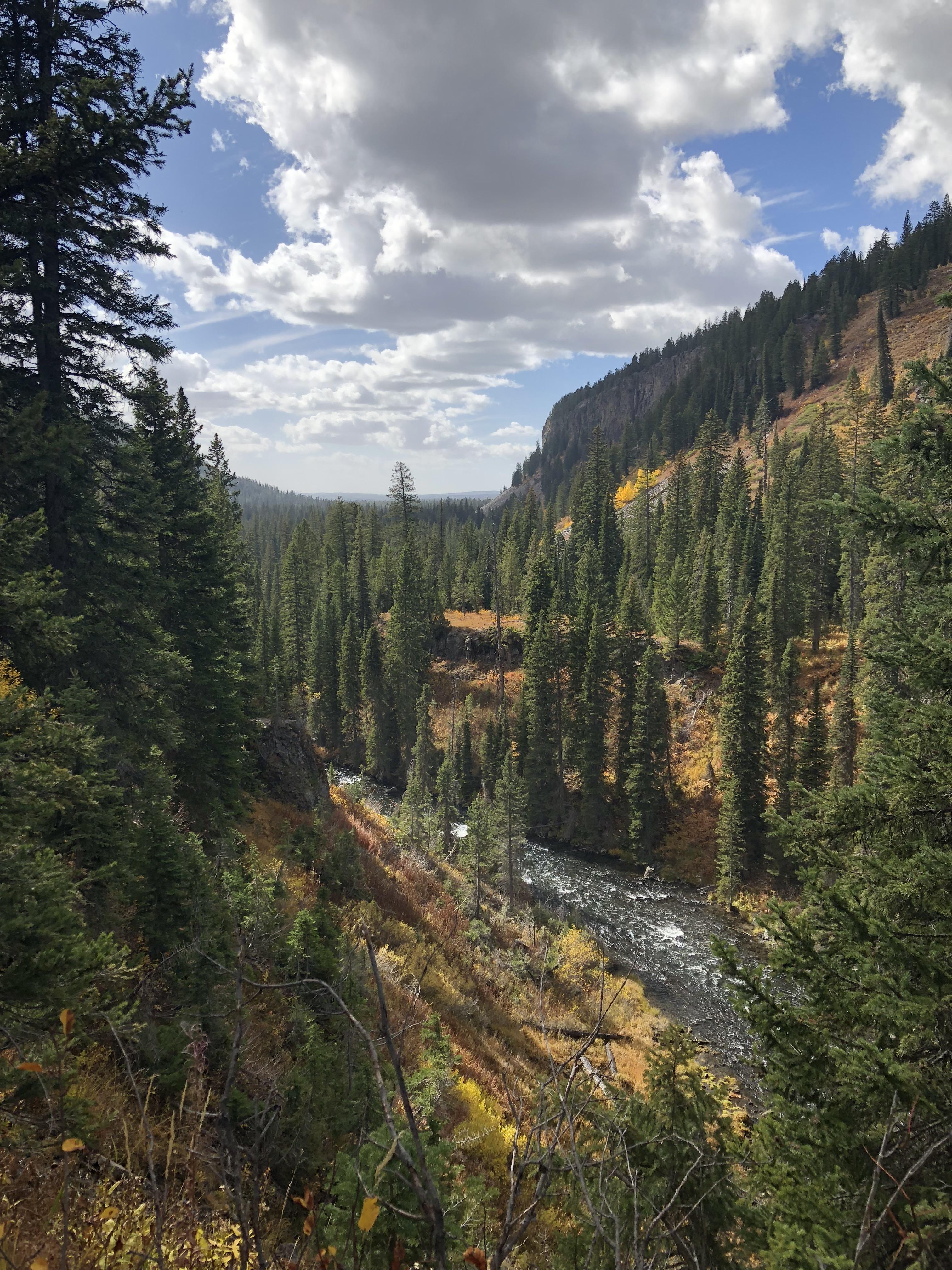 While Backpacking in Yellowstone National Park Bechler River Trail OC