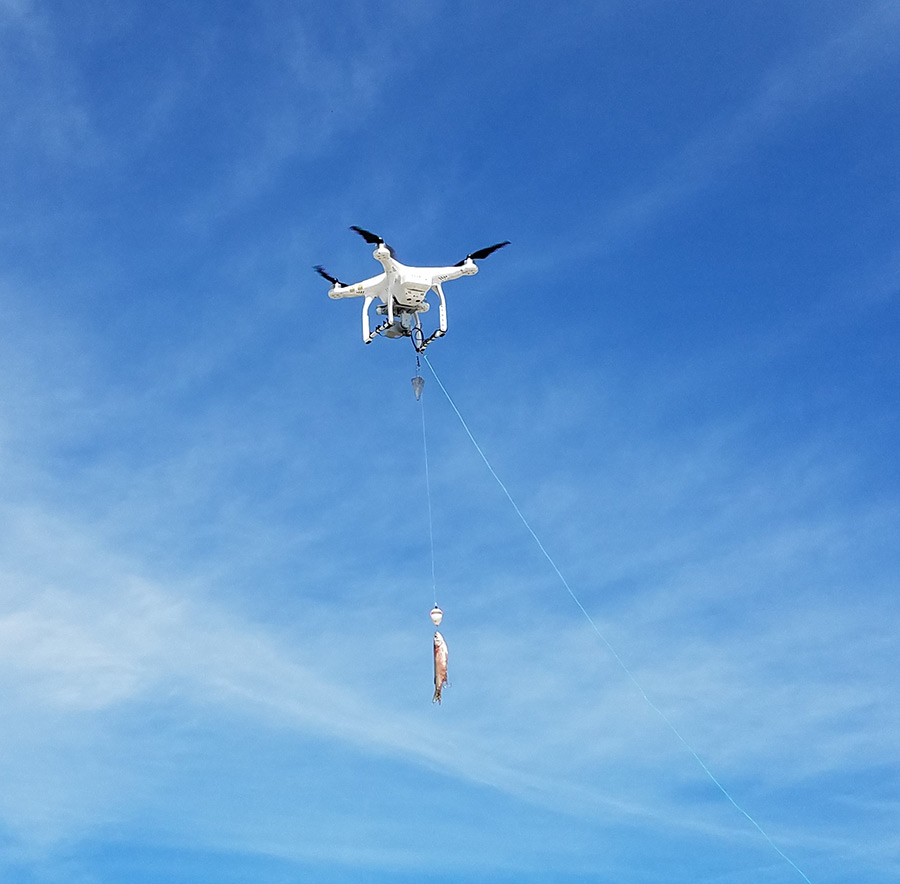 Drone fishing rig. For long distance surf fishing. r/Fishing