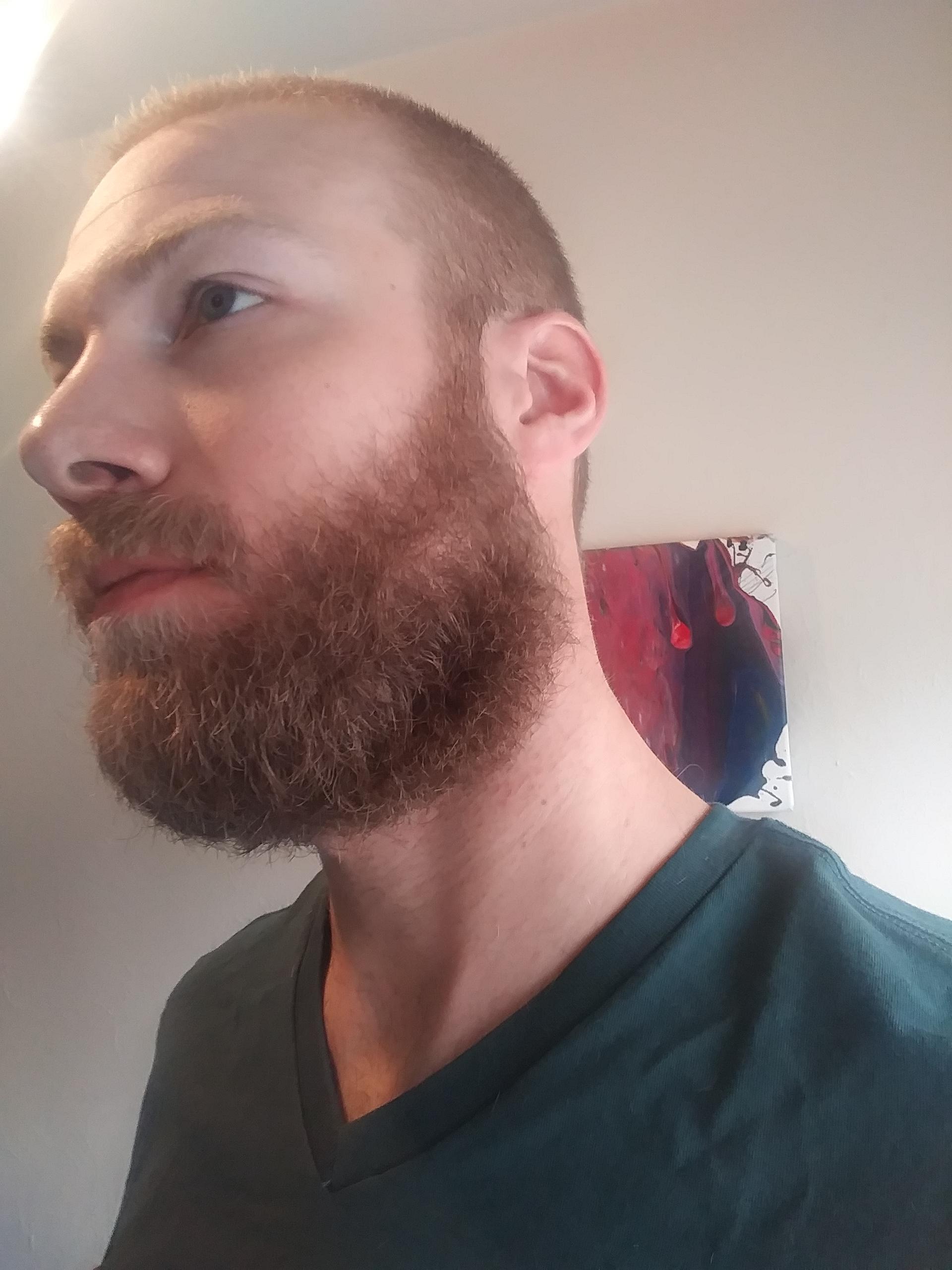 Wanted advice on beard/neck line? Too low? r/beards