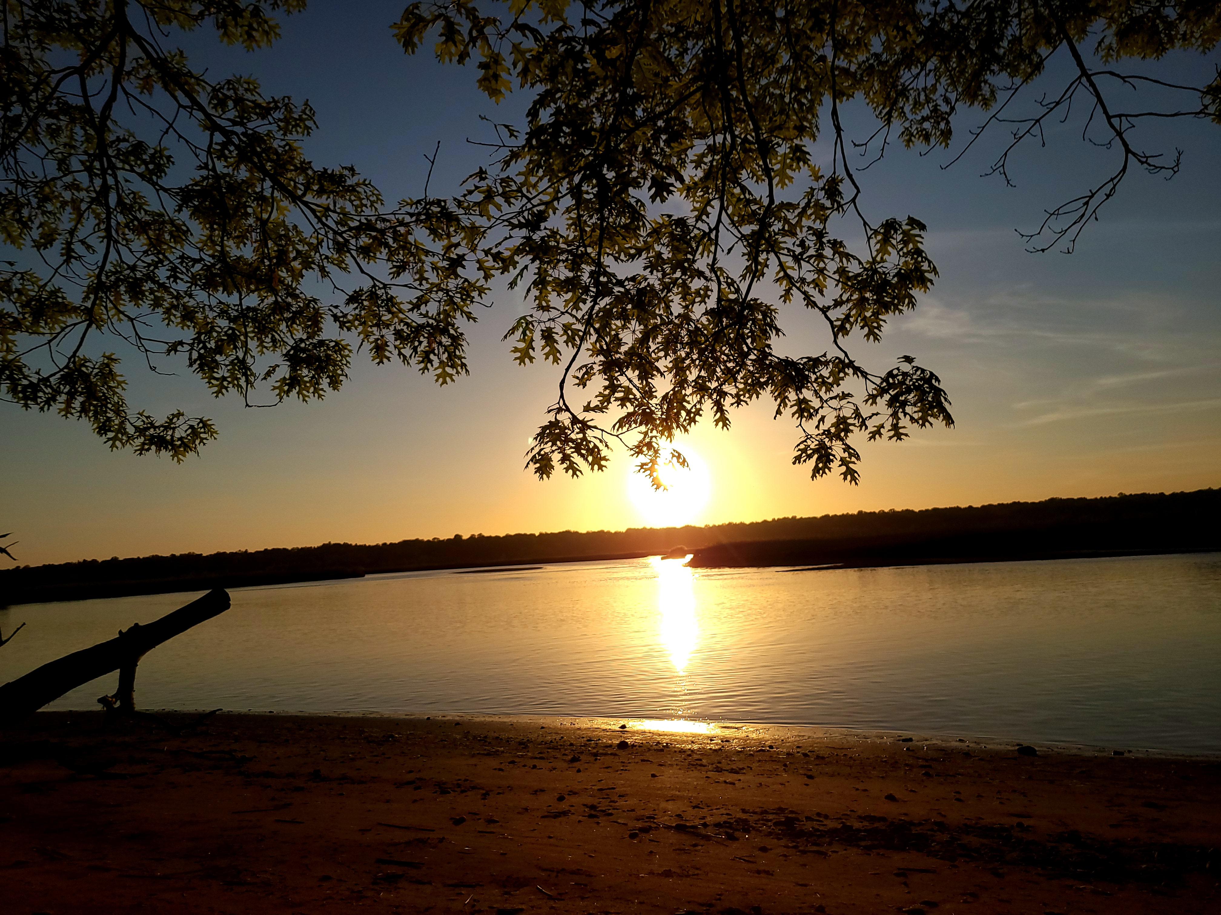 On the Tidal Marsh Trail off the Quinnipiac River r/Connecticut