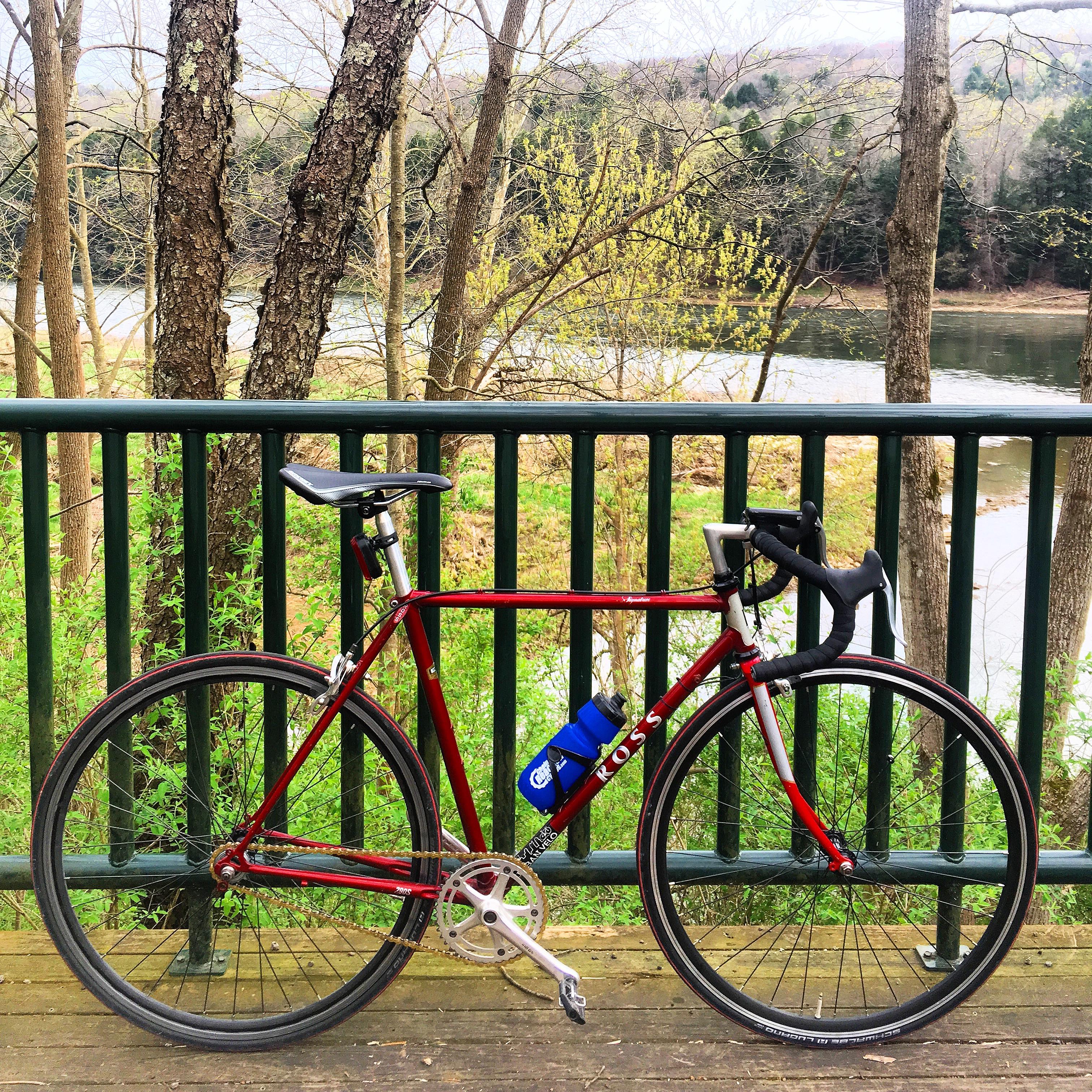 Any love for a Ross conversion? (Signature 290s) r/singlespeed