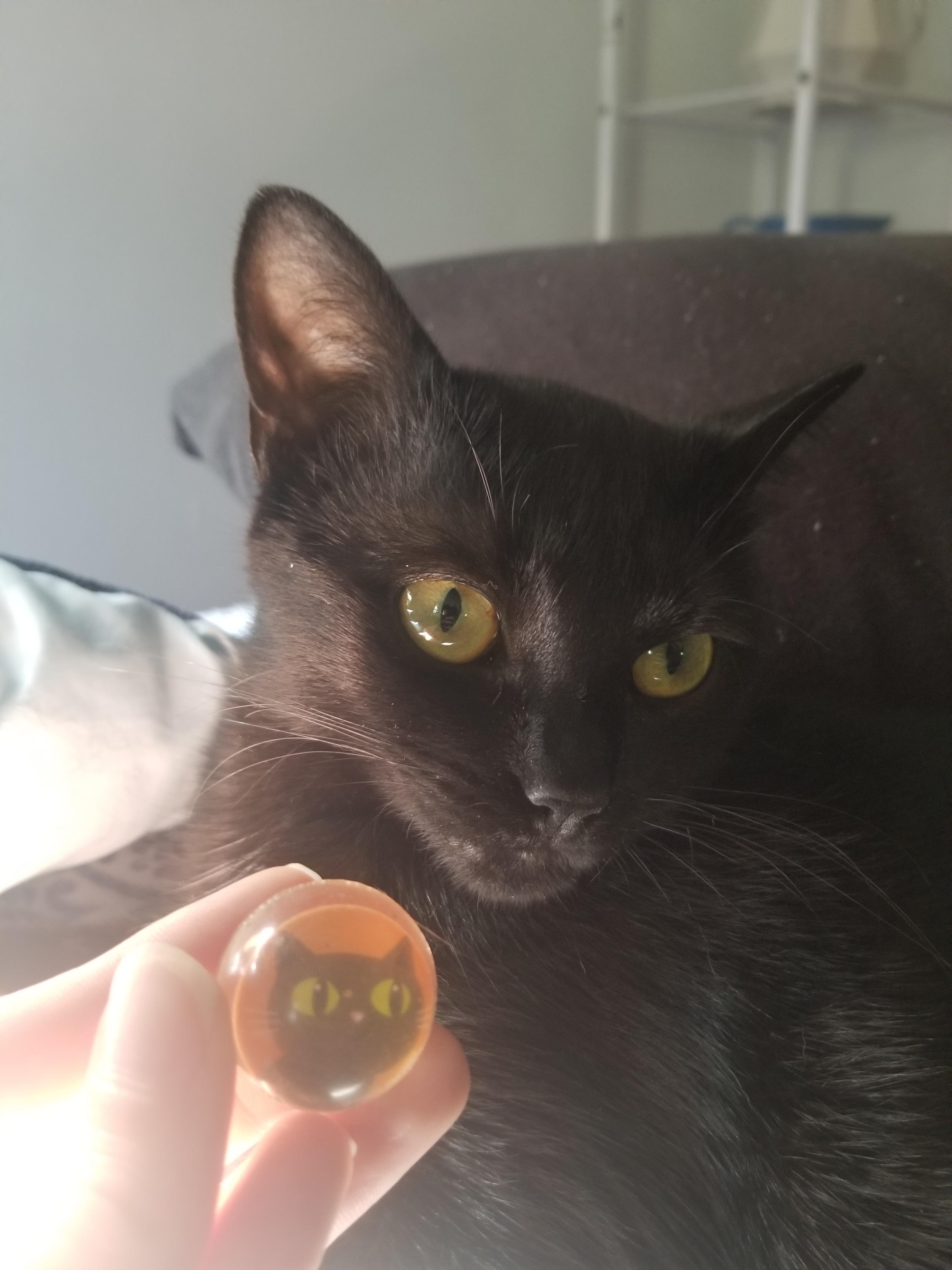 My boyfriend finds bouncy balls at work and brings them home for our