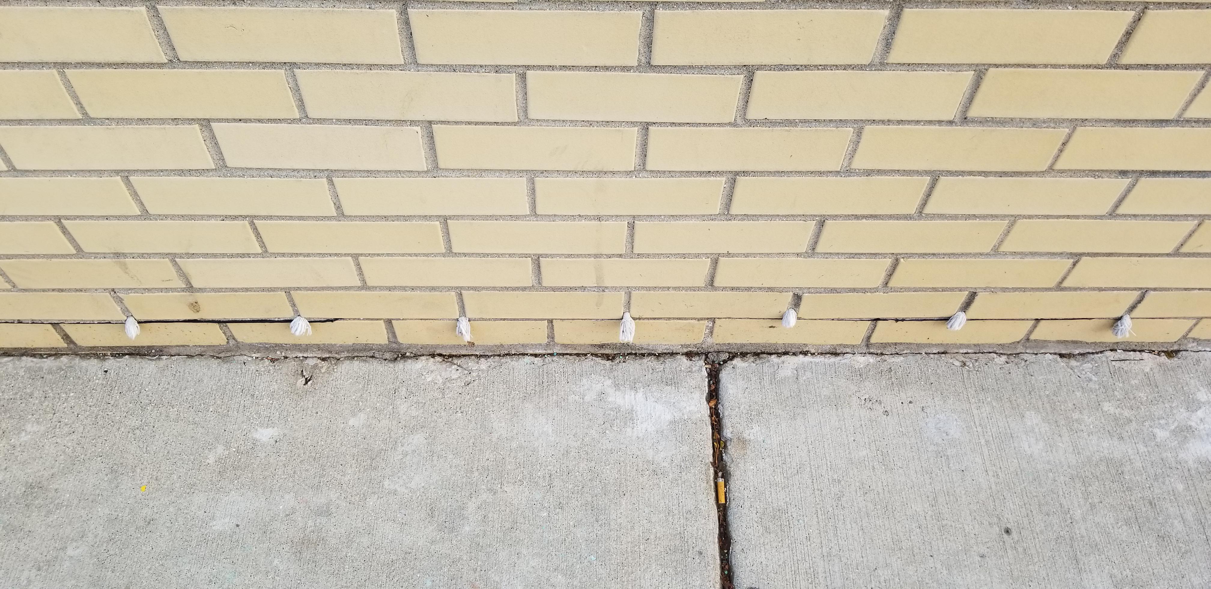What are these bits of rope sticking out of the bottom of this wall