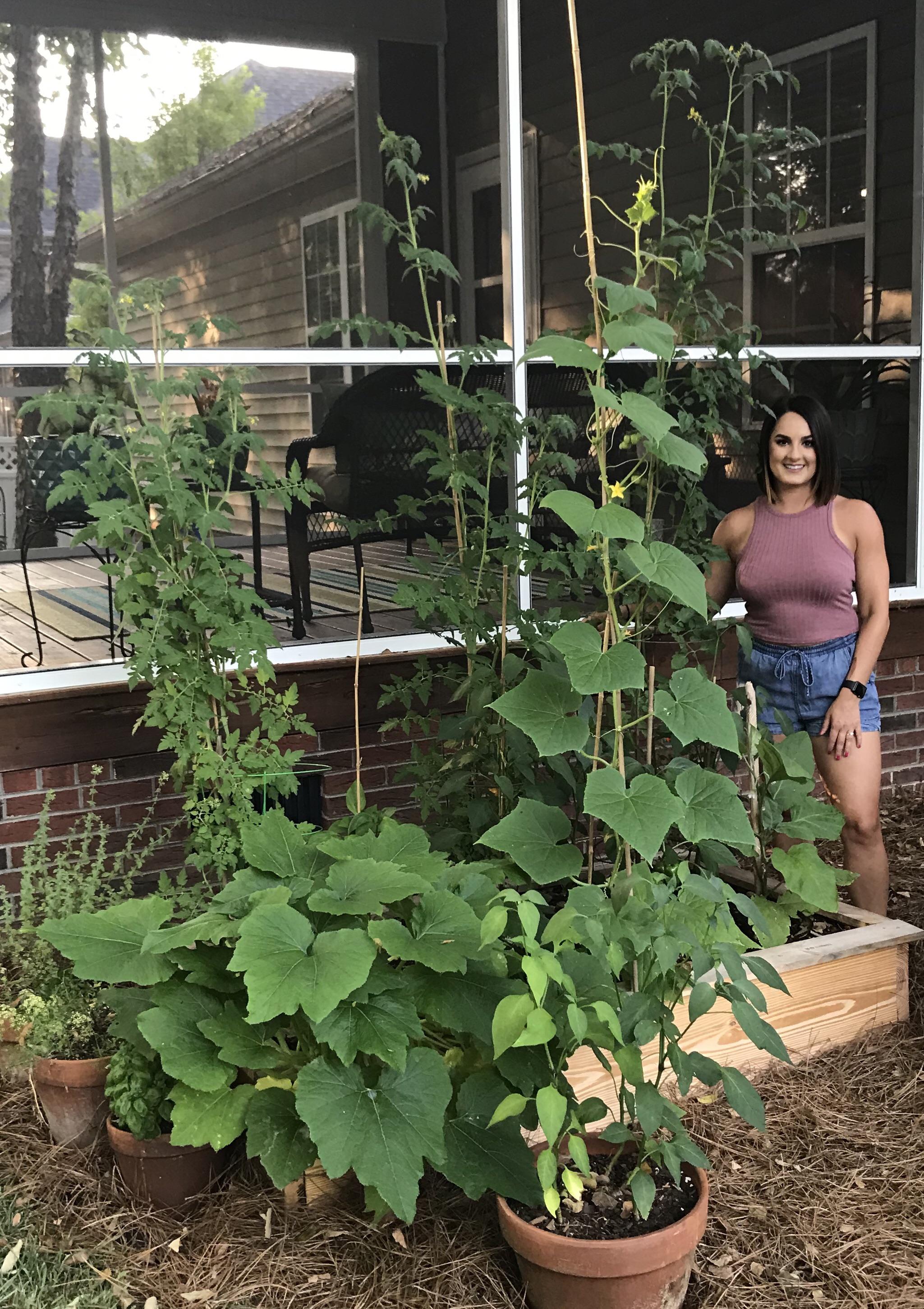 My tomato plant is at least 7 ft tall, and cucumber isn’t too far
