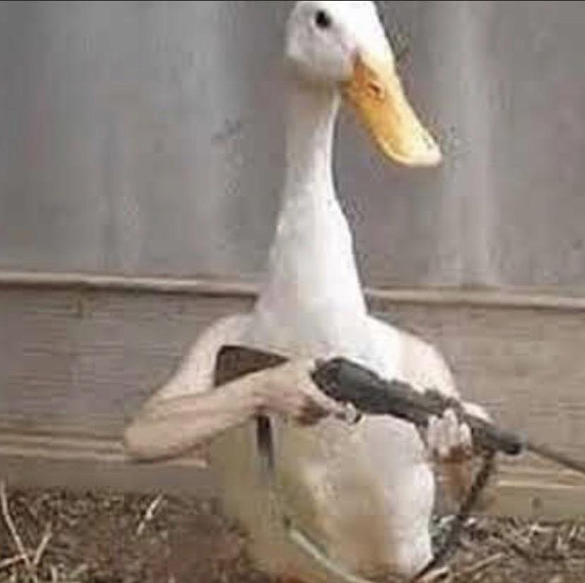 Gangster goose legendary companion hits 100 of shots fired
