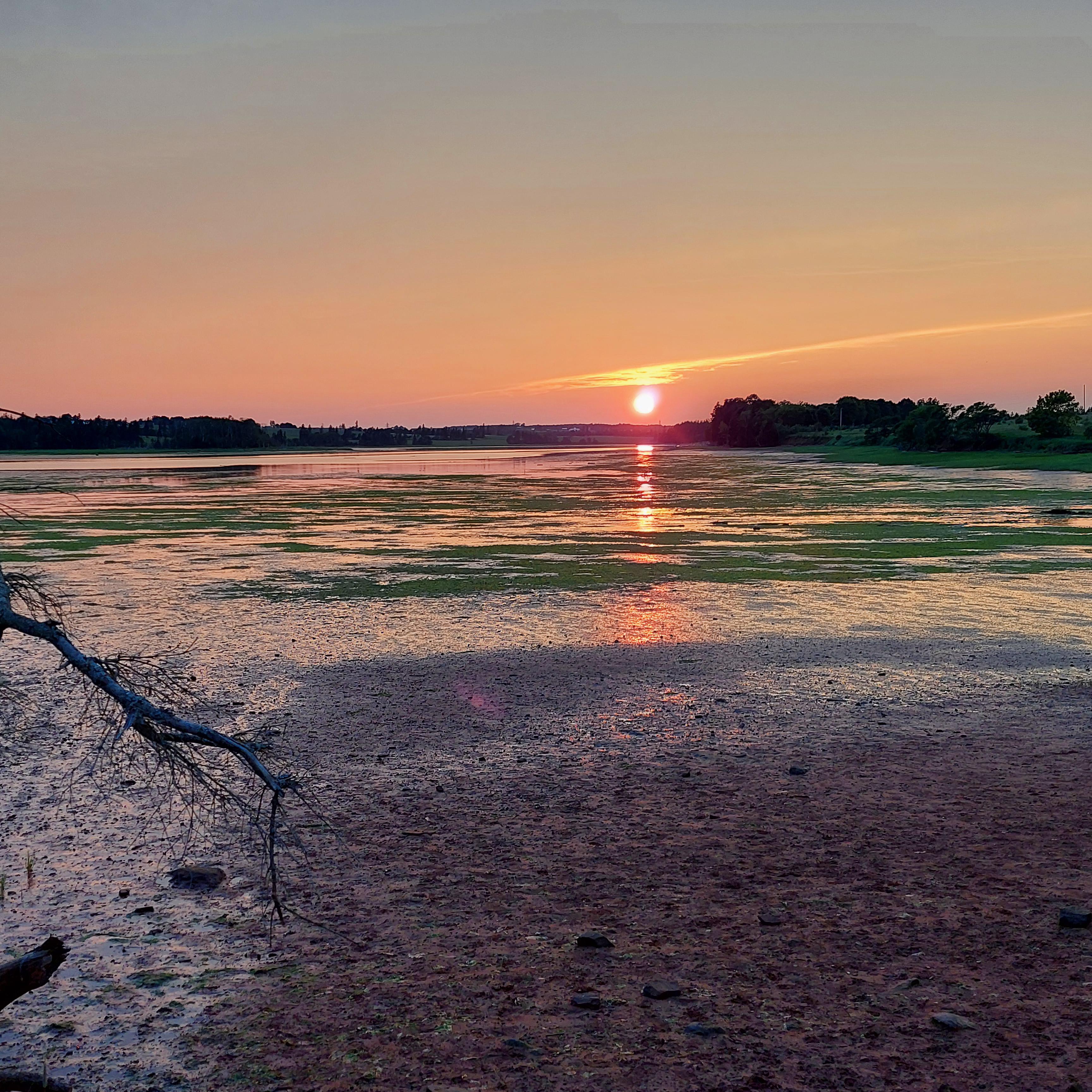 Low tide at North River r/PEI