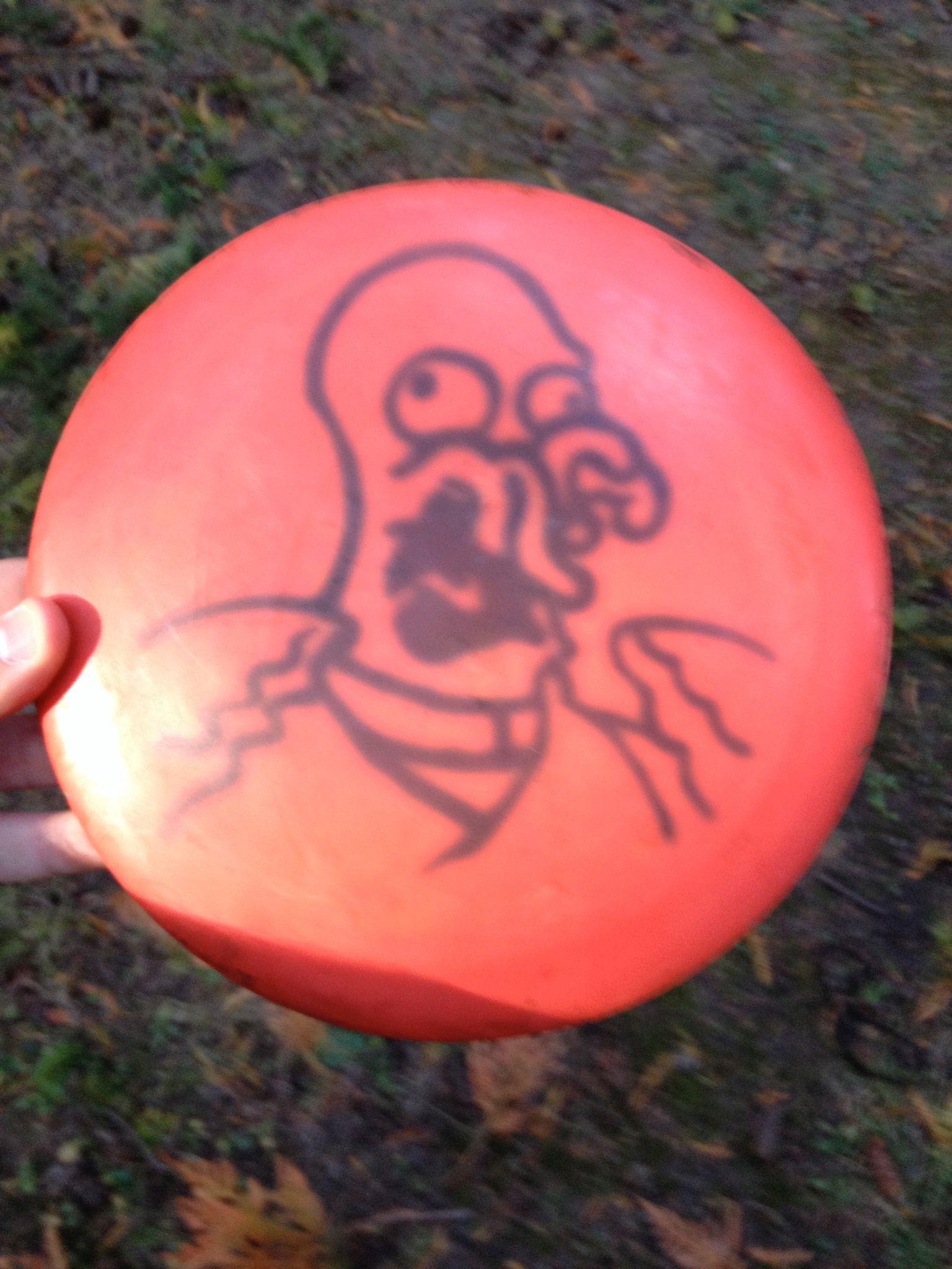 Lost disc at blue lake. Reward if found r/discgolf