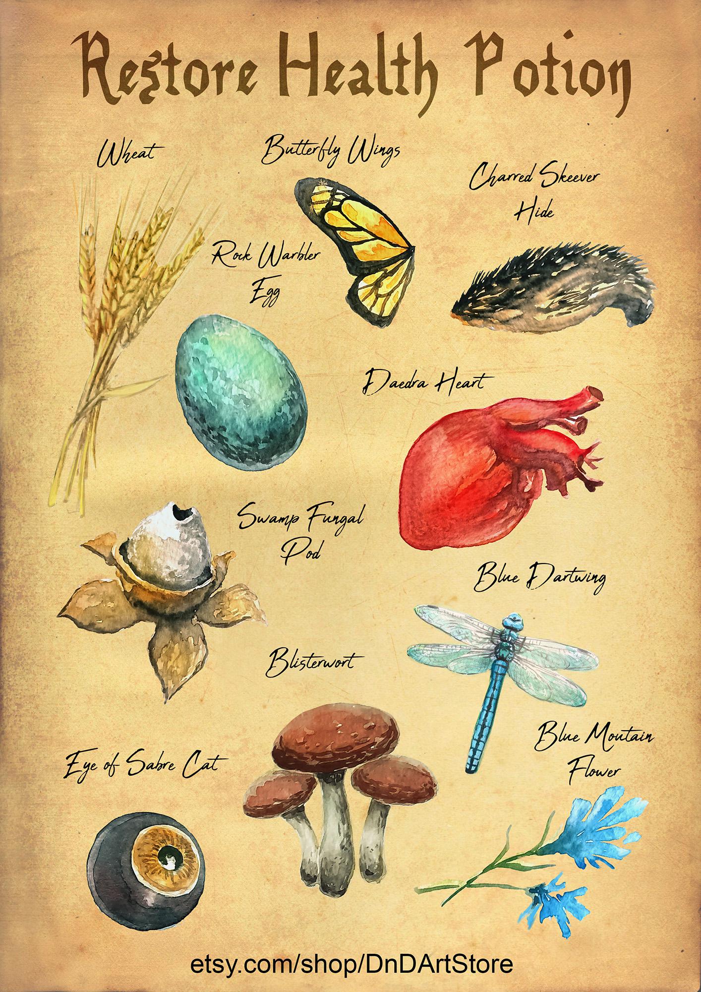 5+ Skyrim Health Potion Recipe MckaiMcdavid