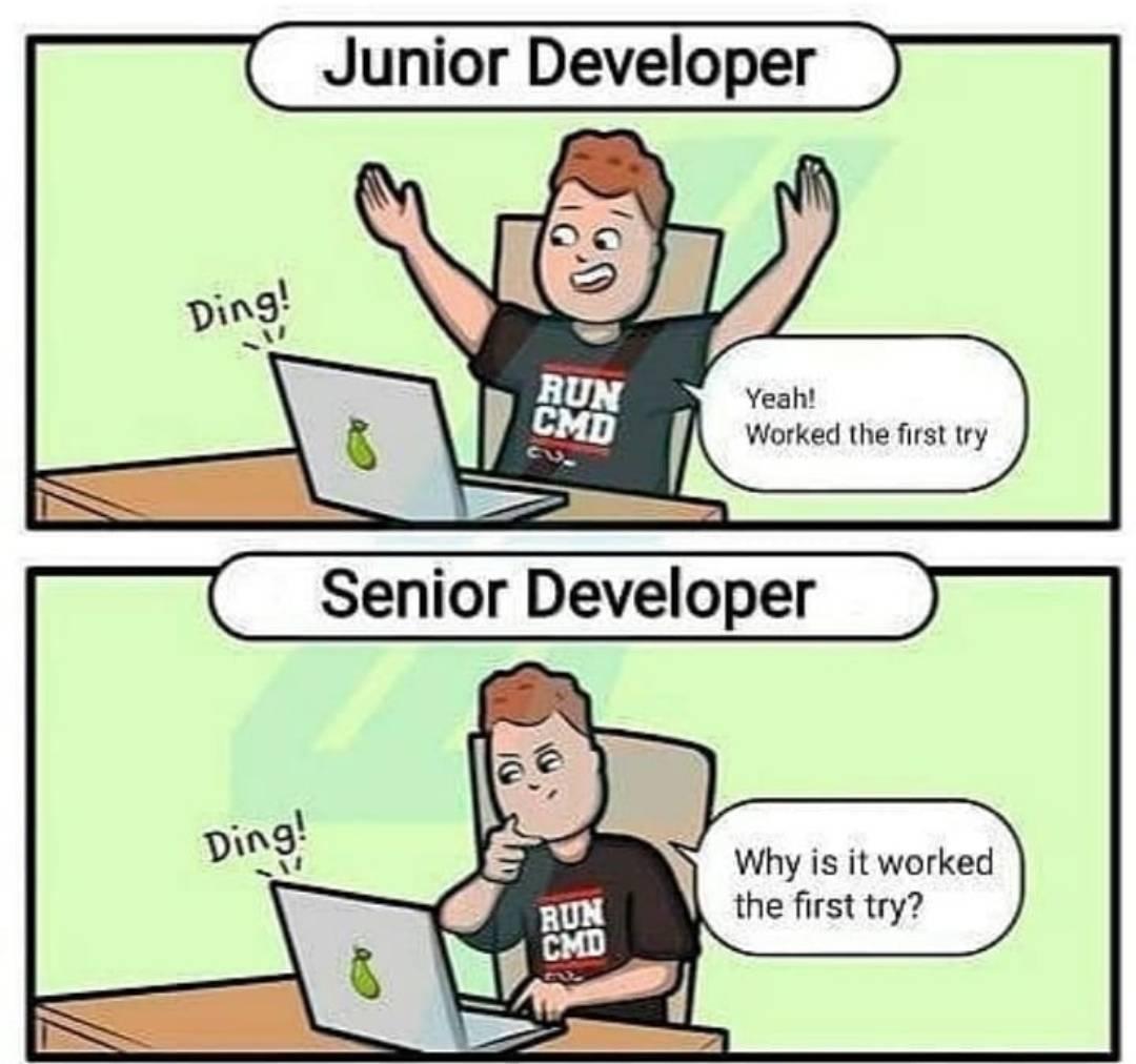 Junior vs Senior r/ProgrammerHumor