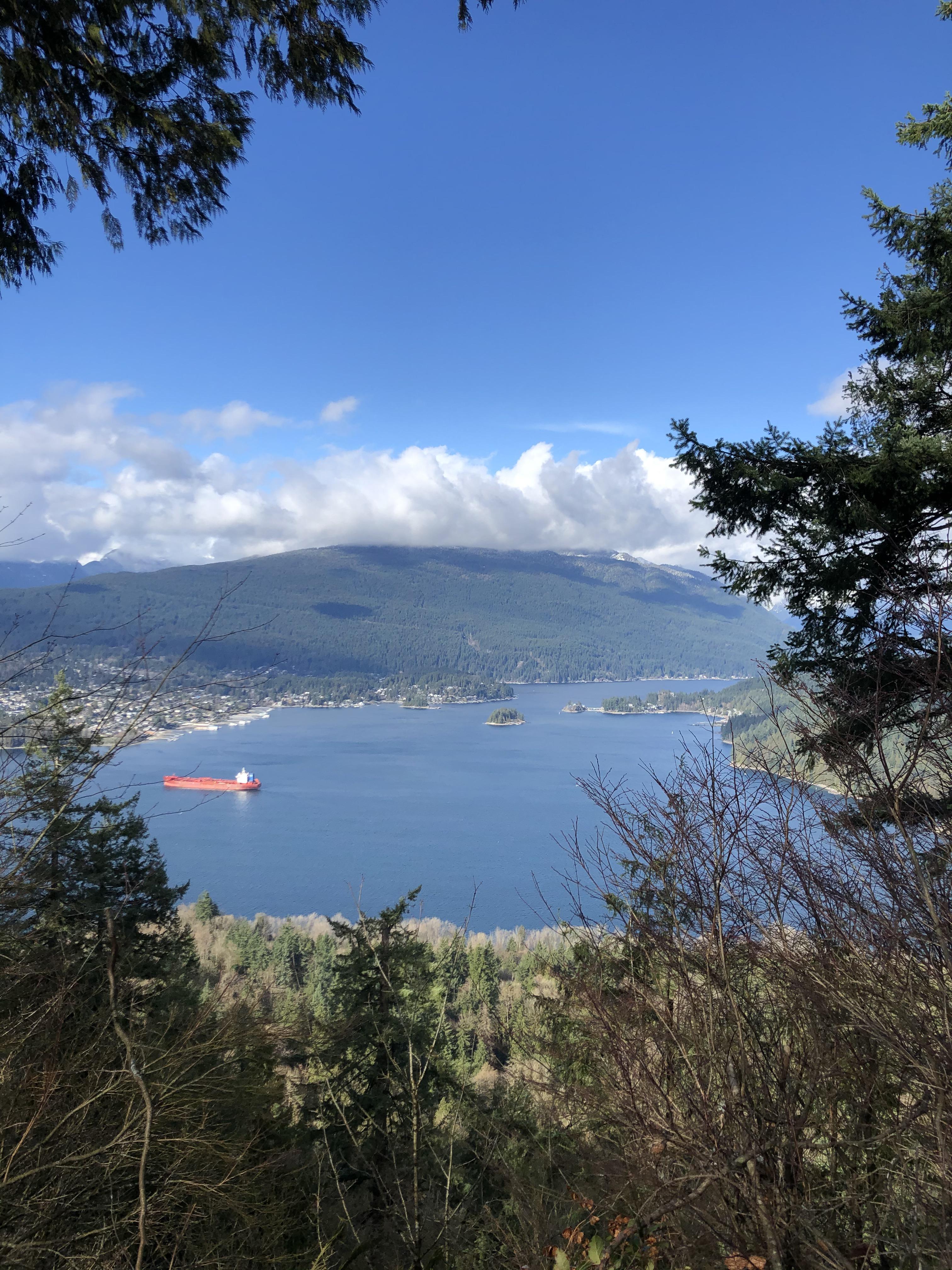 Couldn’t have picked a better day to go on my first hike of the year