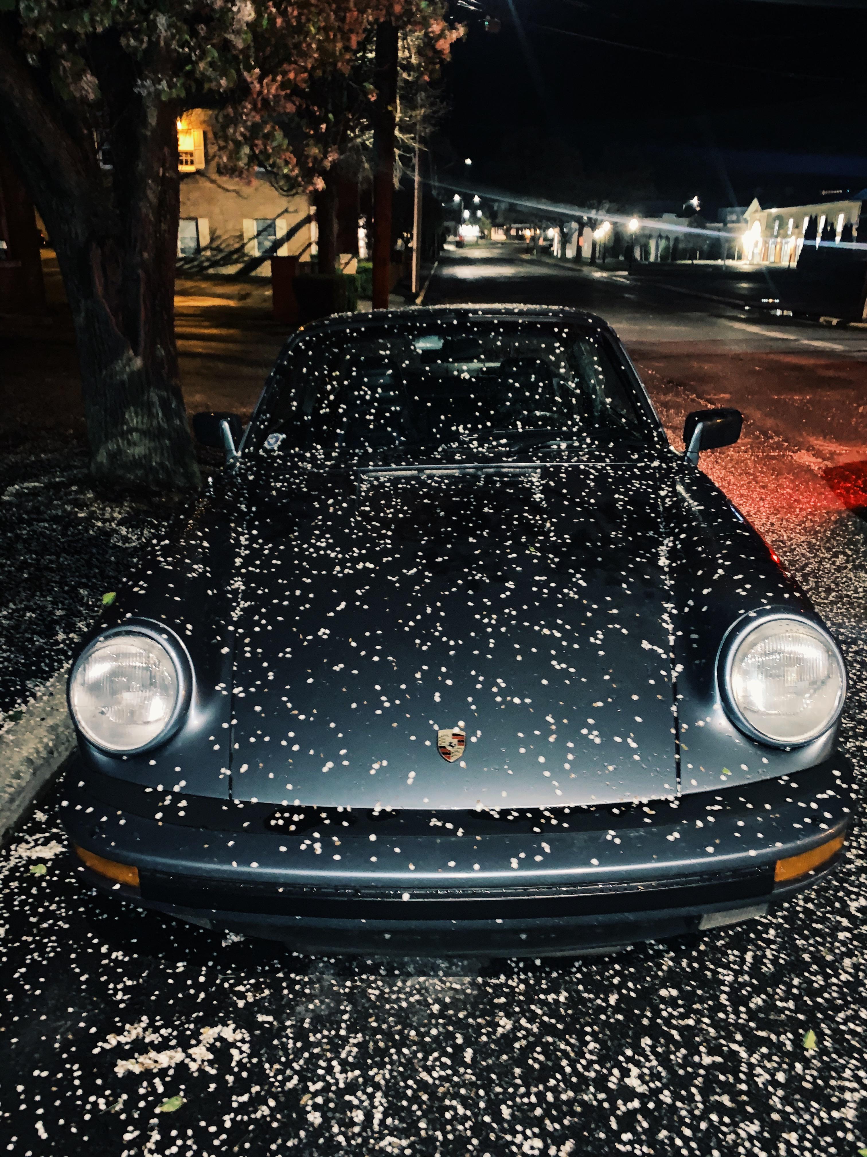 84 Porsche 911 X Flower Blossoms r/carporn