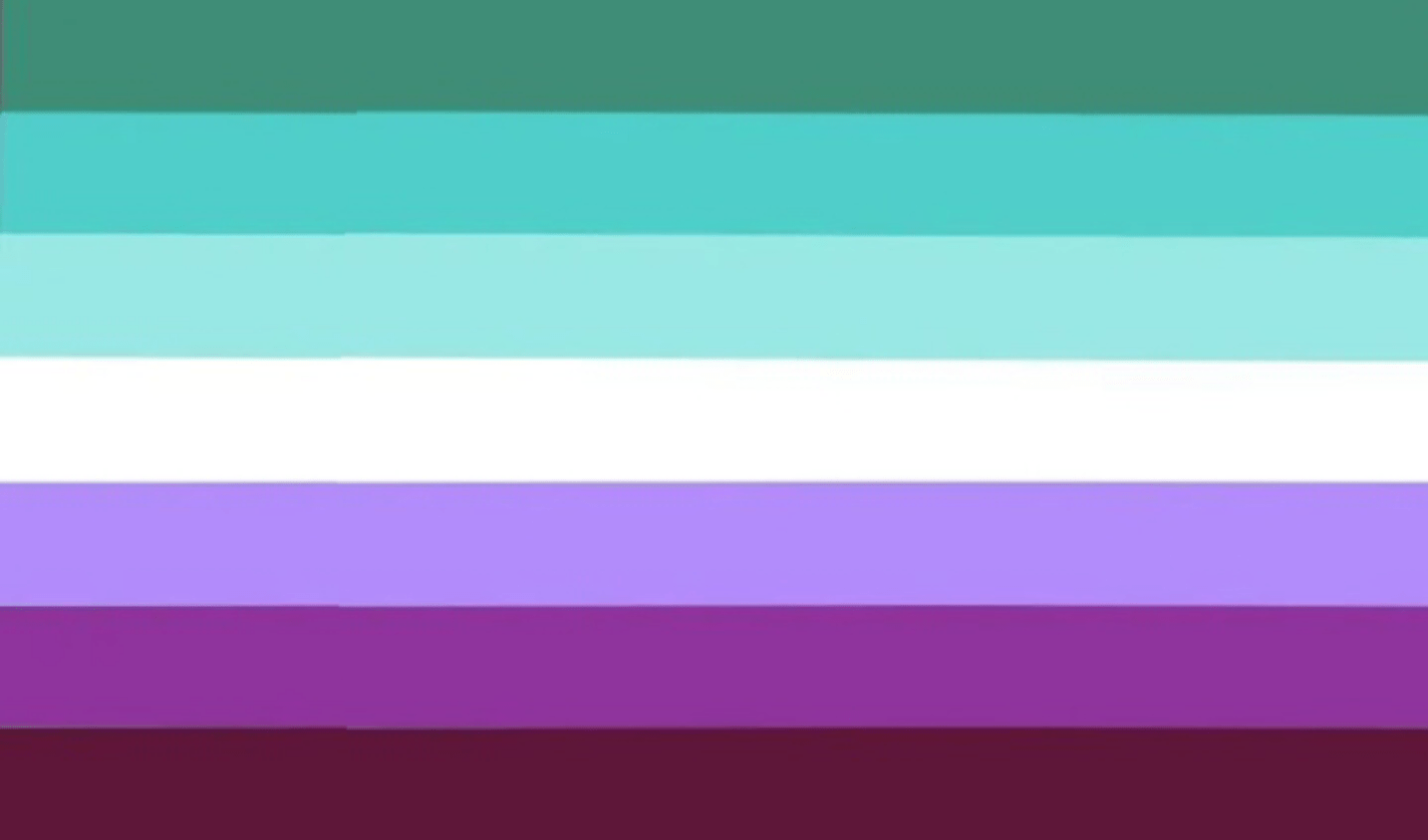 What flag is this? Searching "blue and purple pride flag" just gets me