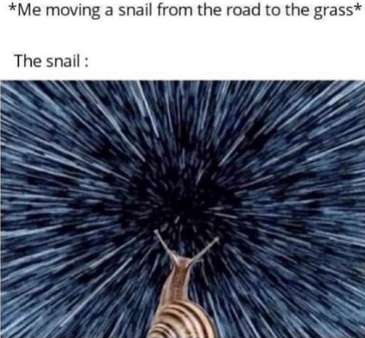 snail has entered WARP SPEED 🐌 r/memes