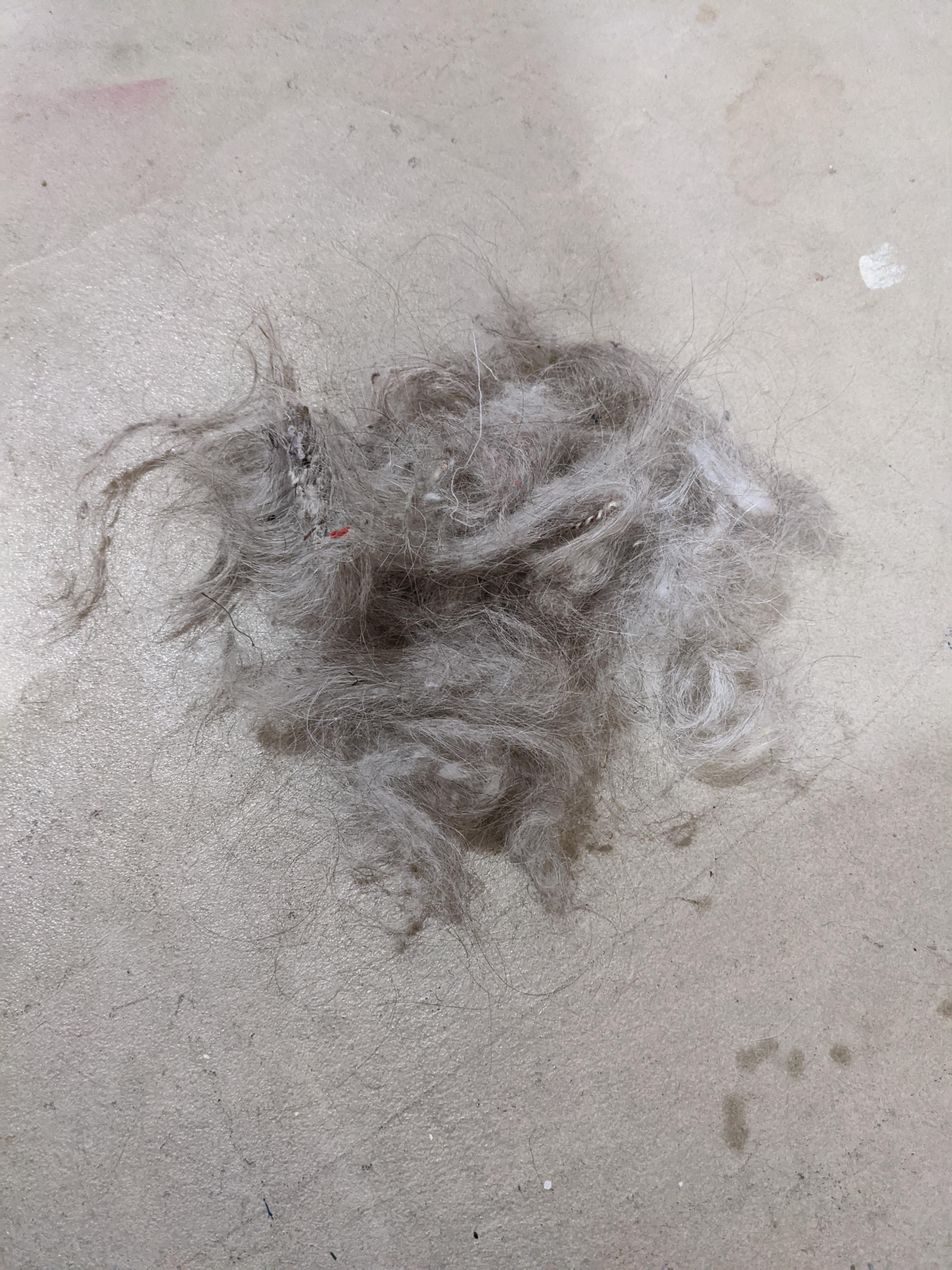 This is the amount of fur I cleaned off the rollers of my vacuum after