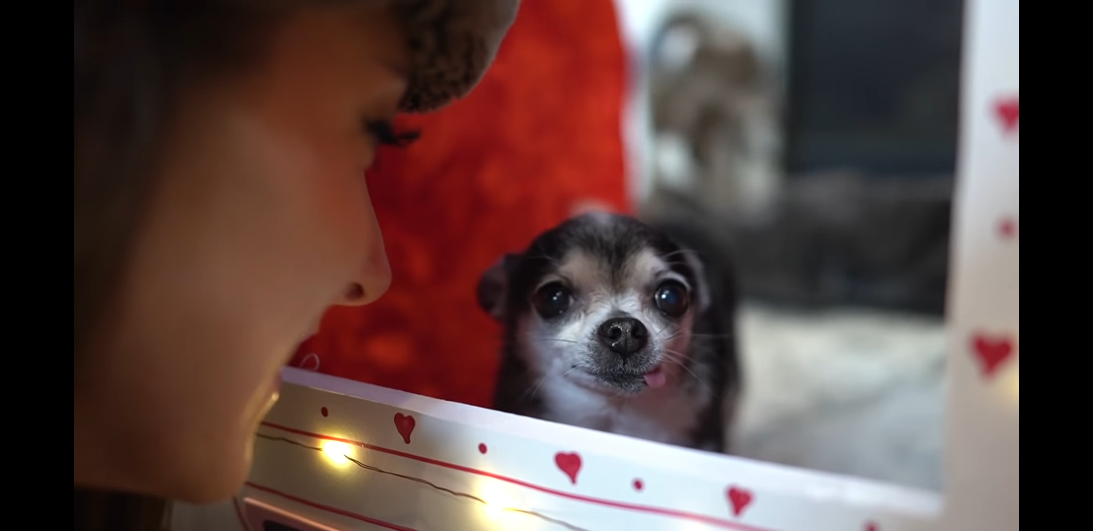 I took a screenshot of Mr.Marbles being adorable and I thought everyone