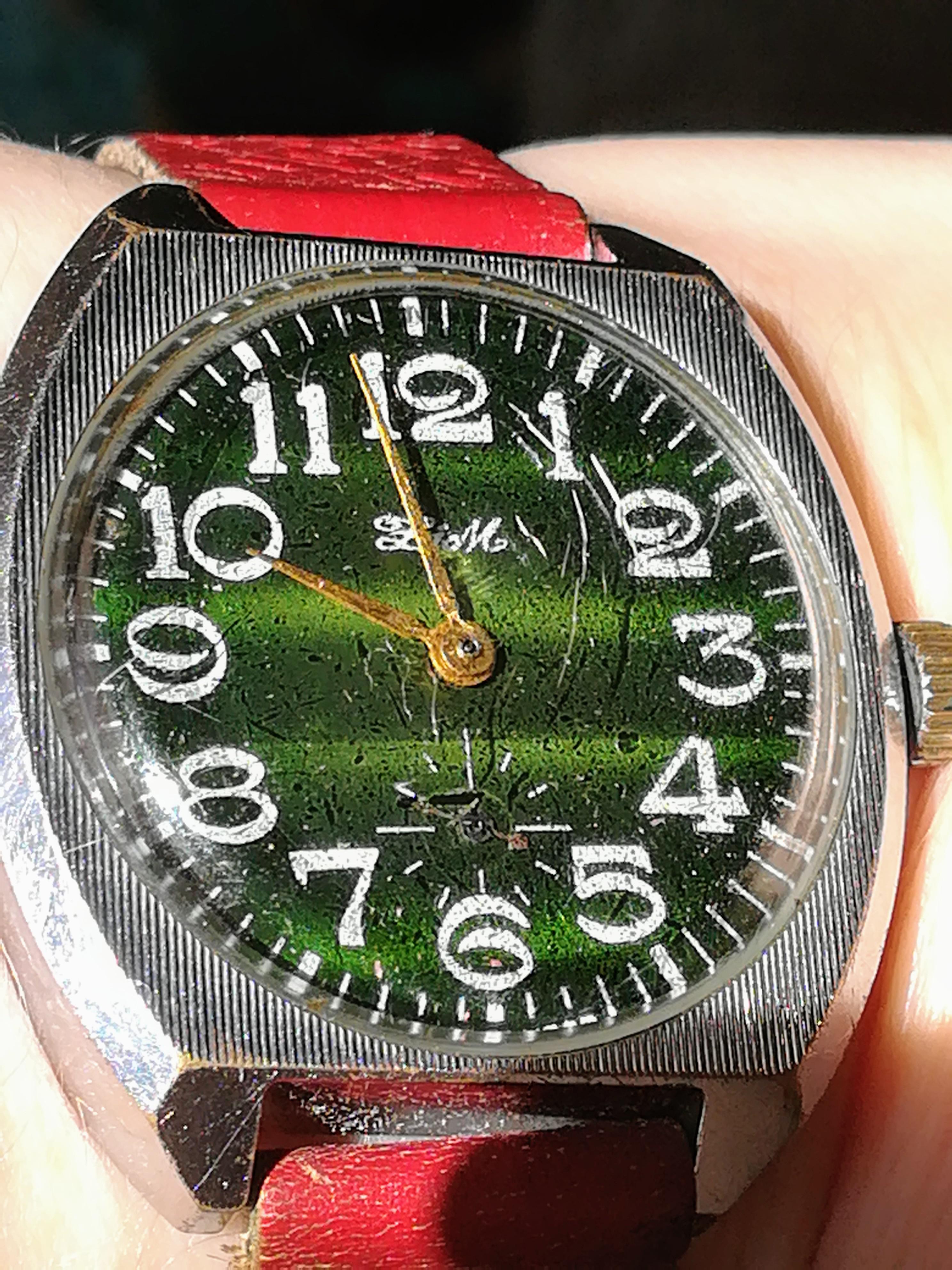 [Zim] The sunlight makes this dial really shine r/Watches