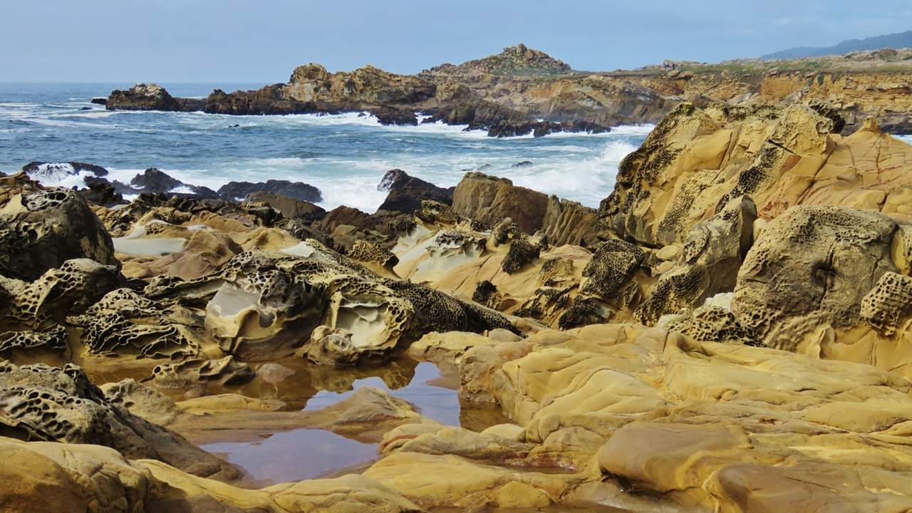 Salt Point State Park Save the Redwoods League