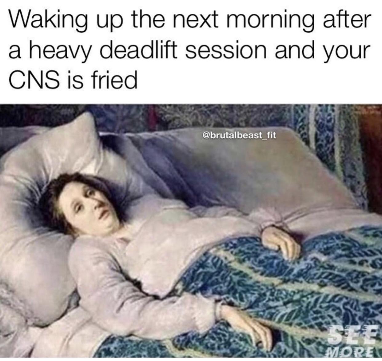 I guess I’ll stay in bed all day... r/PowerliftingMemes