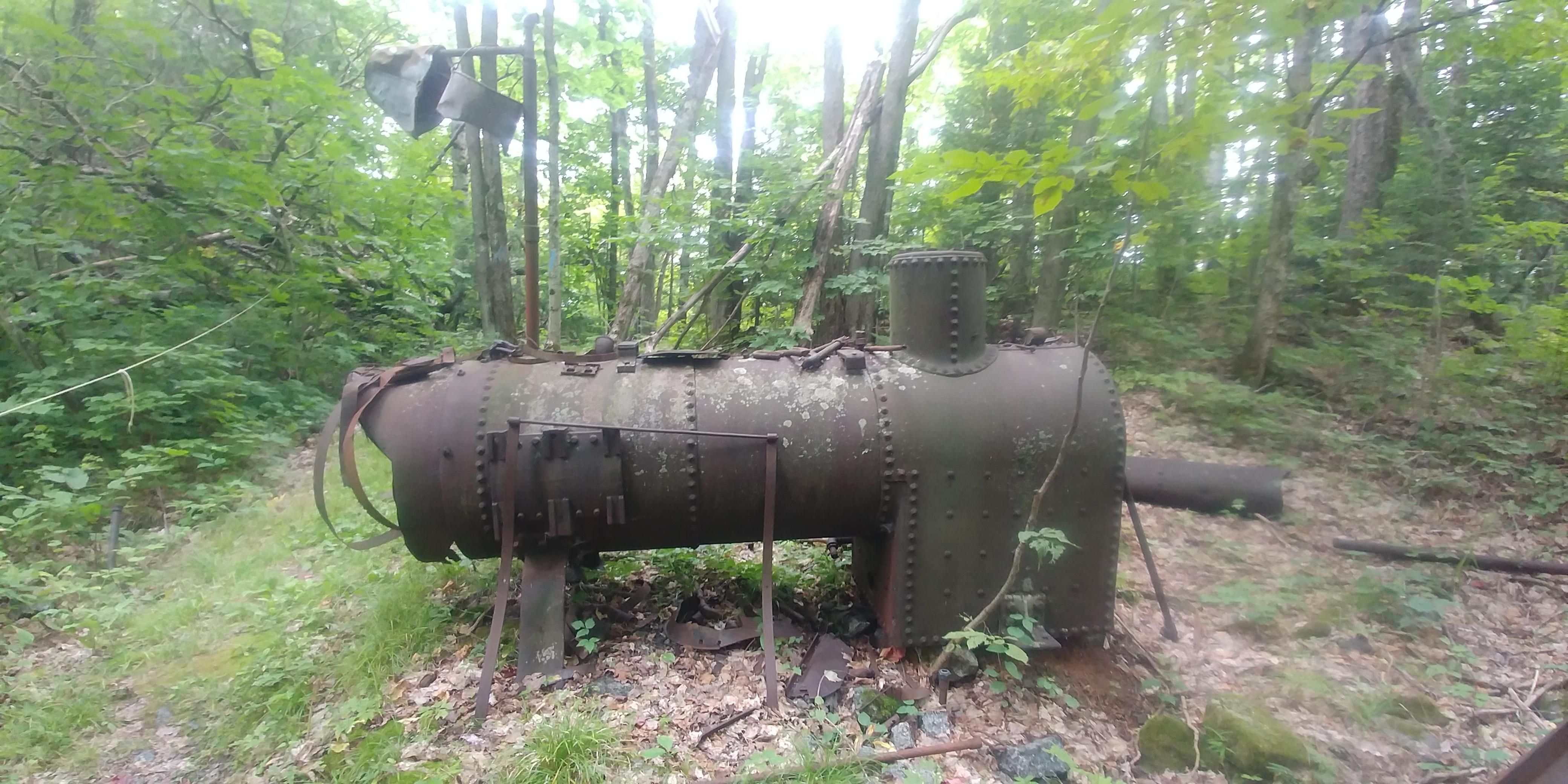 Found in Northern Wisconsin whatisthisthing