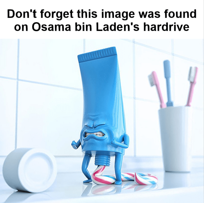 Don't this image was found on Osama bin Laden's harddrive r/memes
