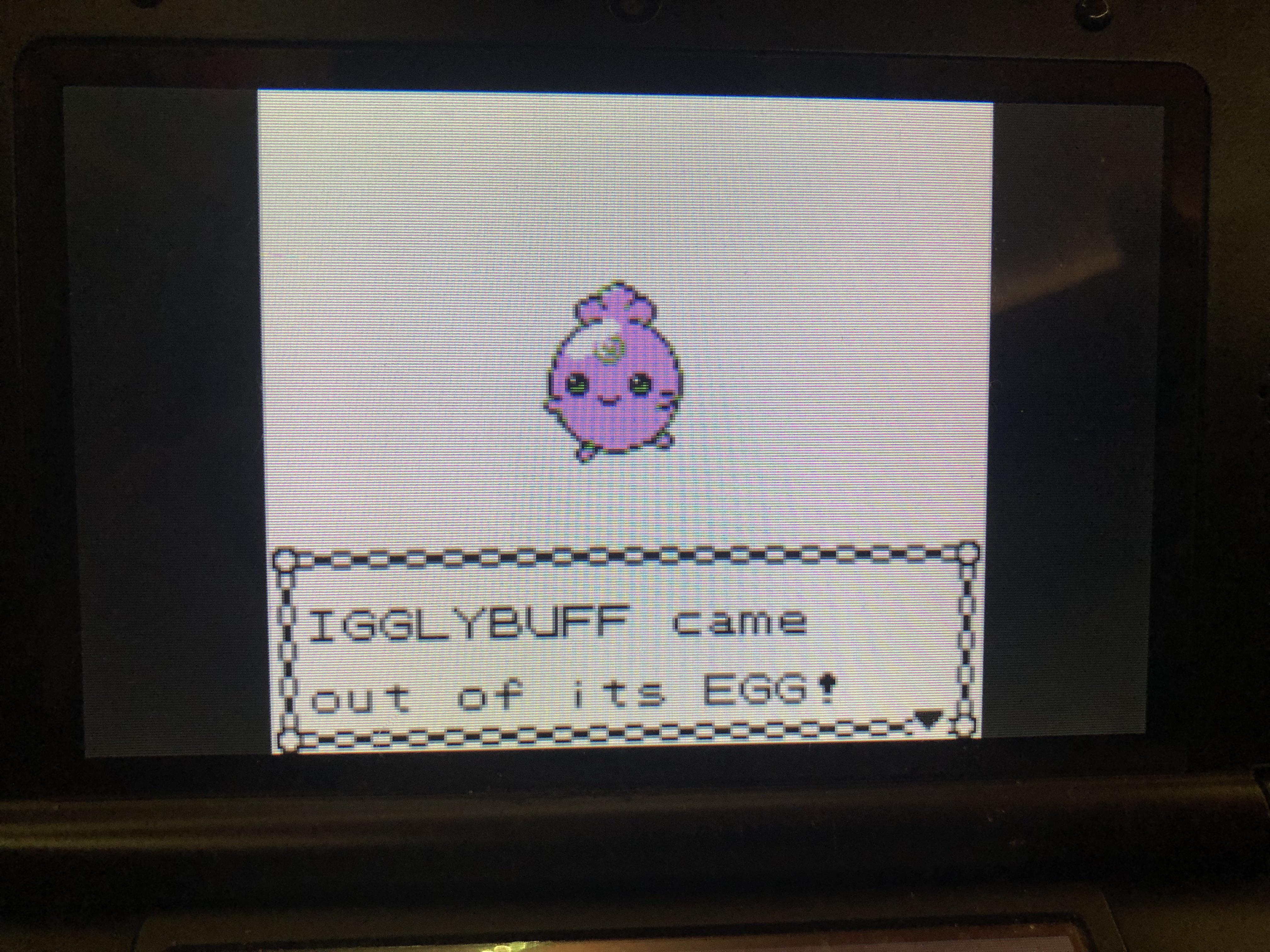 [2] Shiny Odd Egg Igglybuff Crystal Shiny Living Dex 1/251 r