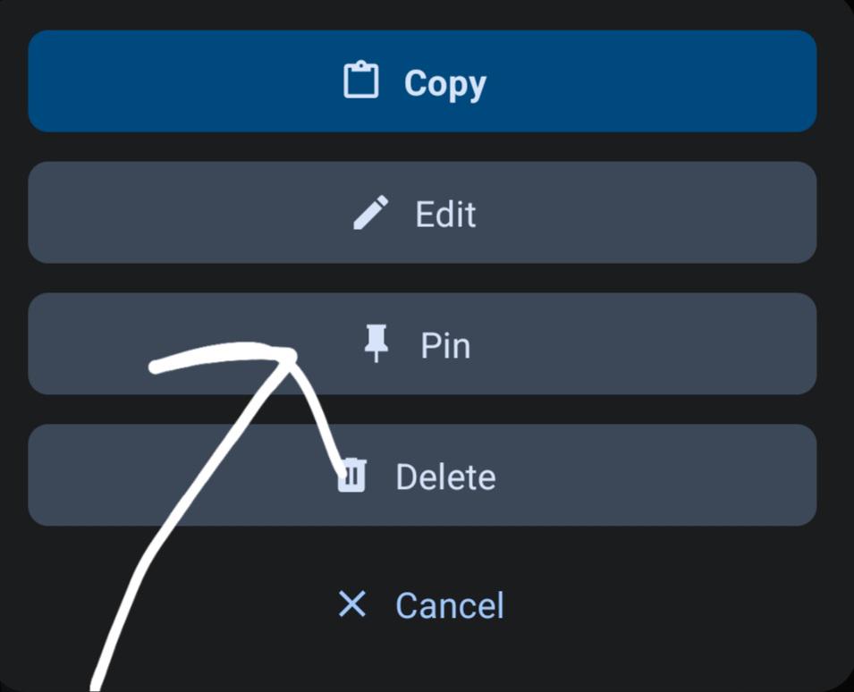 Can someone please explain what the fuck pinning does? r/CharacterAI