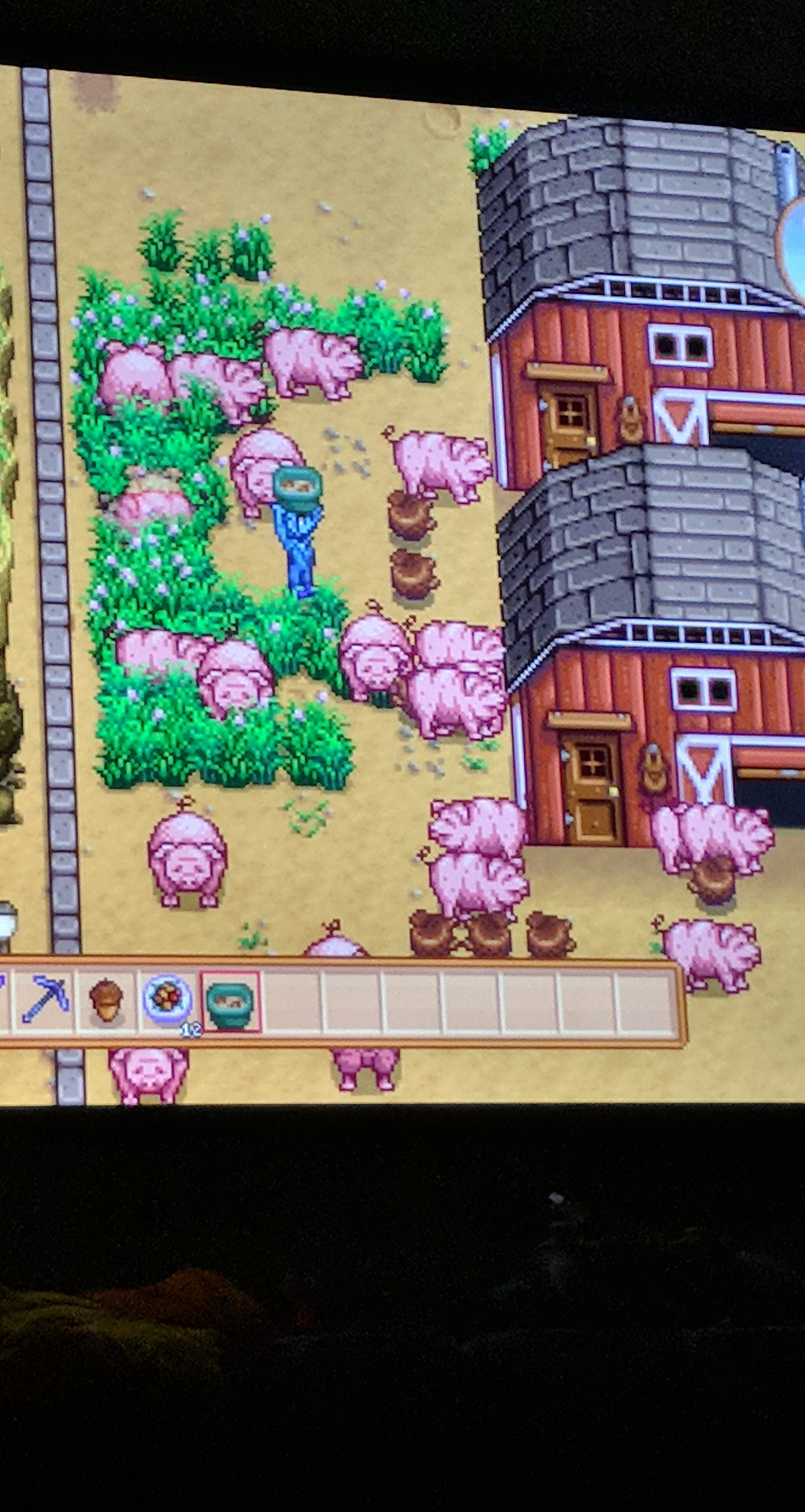 Truffle Season has come! r/StardewValley