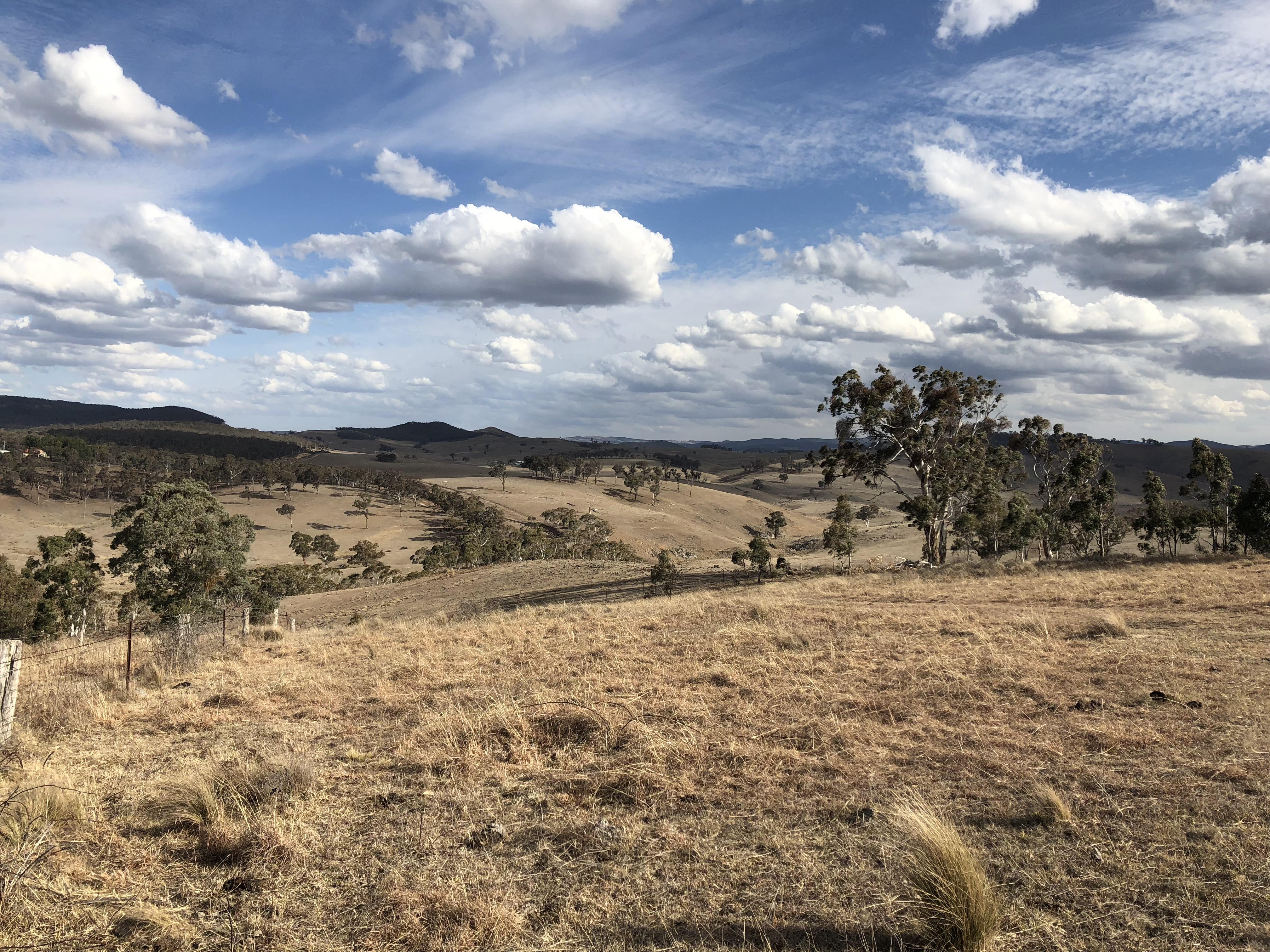 One of many views on my fiancé’s mum’s farm. Ben Bullen, New South
