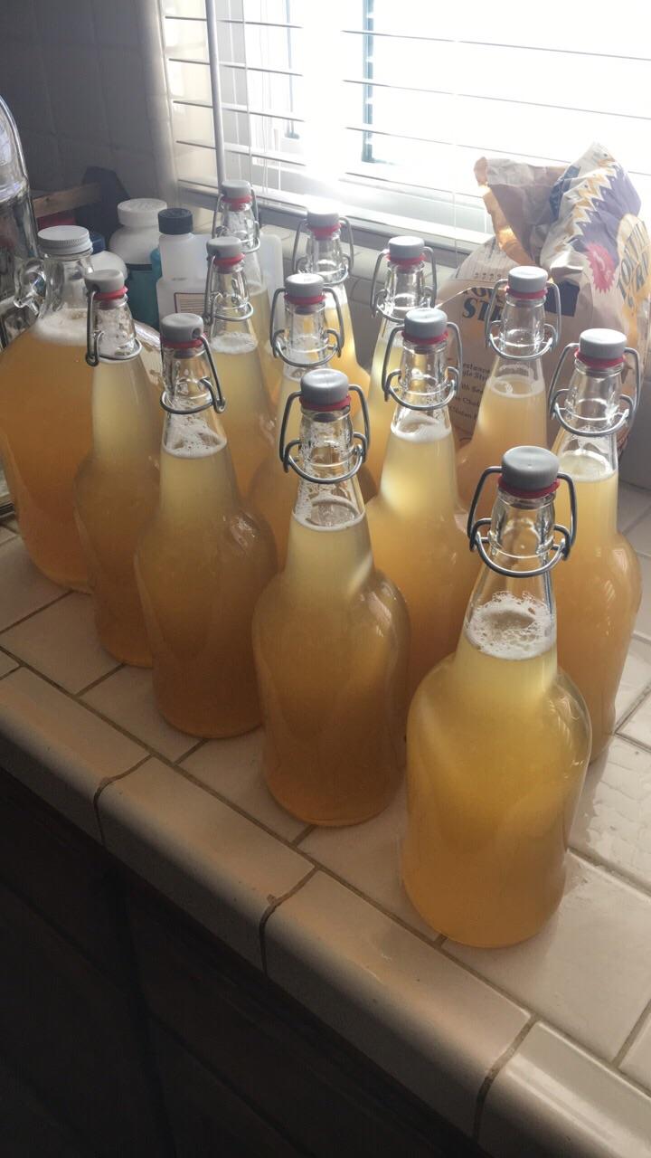 Second attempt ready to age, just yeast water and honey. mead