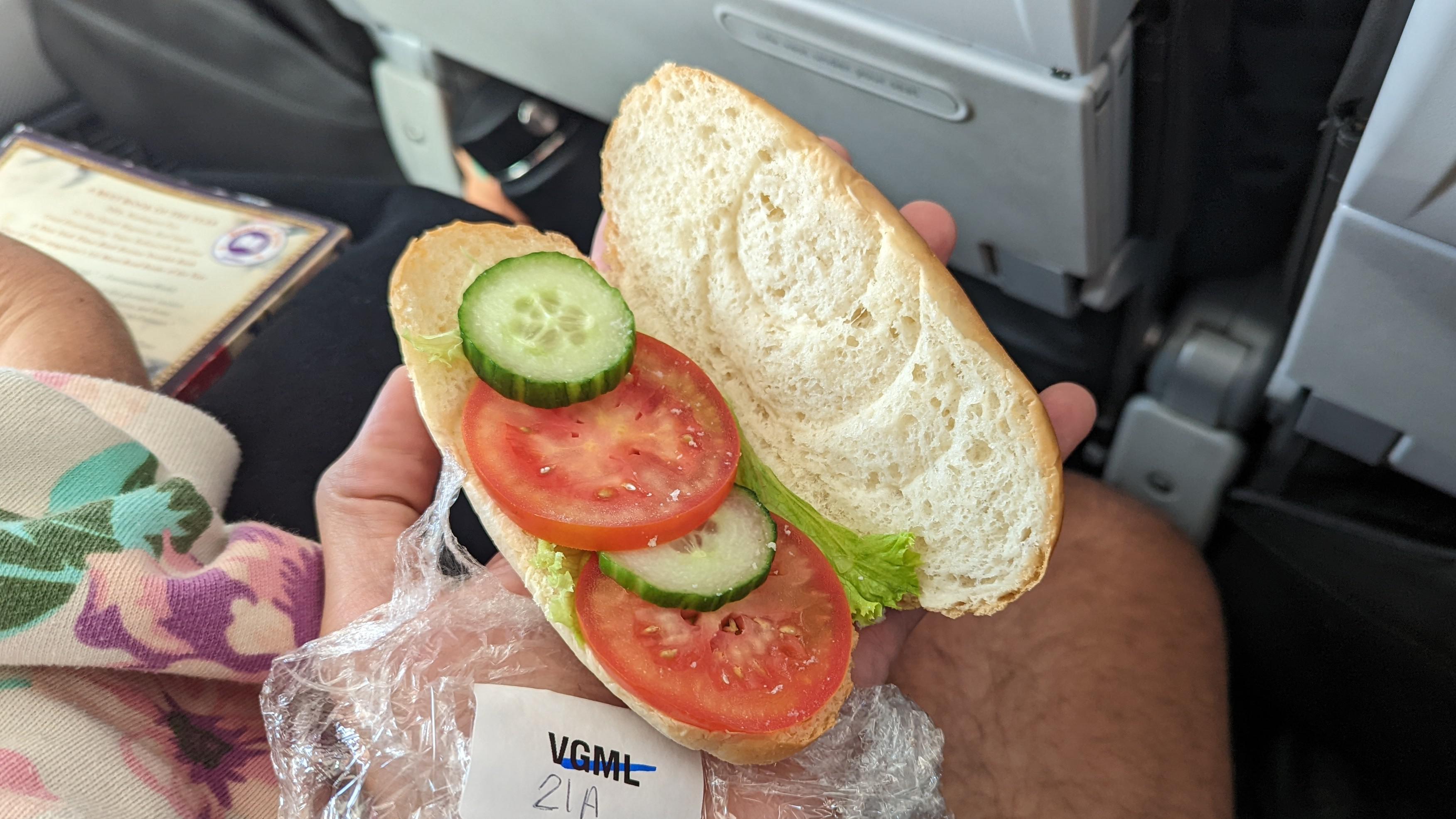 Reserved a vegan meal on my American Airlines flight. This is what they